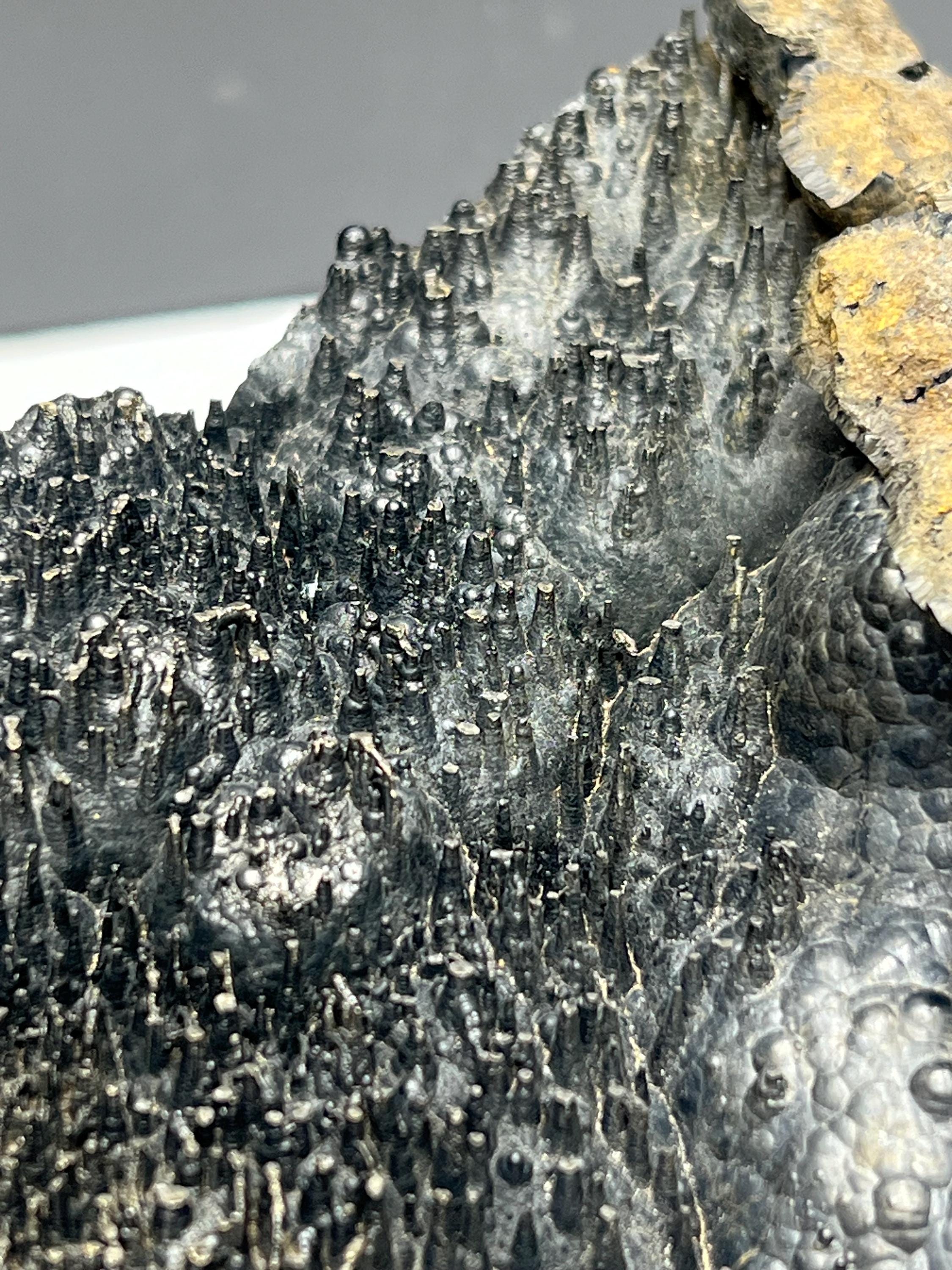Museum quality, Very special slim stalactites Goethite specimen, Special Collections - Crystal Gemstone AE 