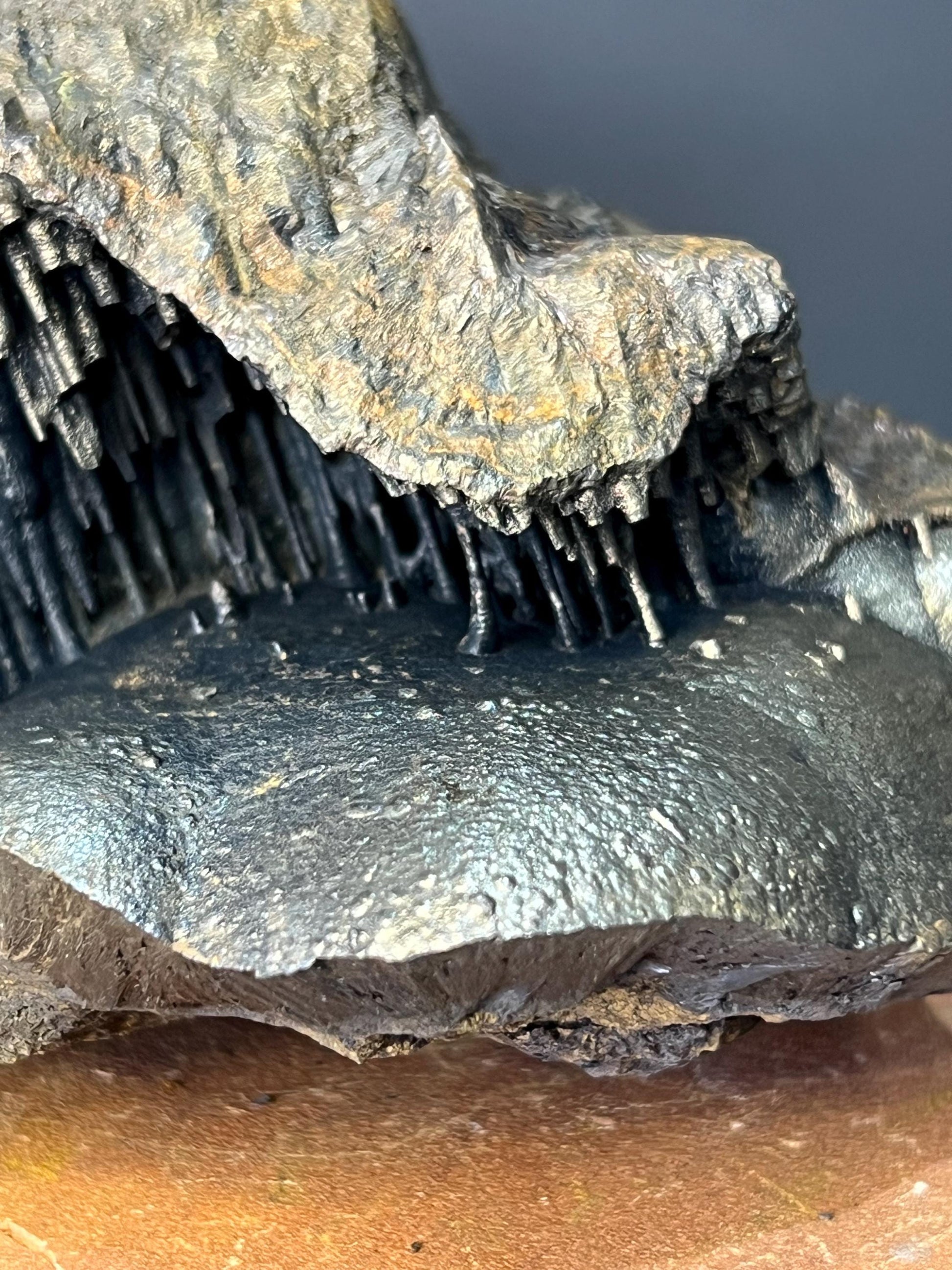 Museum Grade, Very Special Cave Shaped Golden Color Stalactite Goethite Specimen - Crystal Gemstone AE 