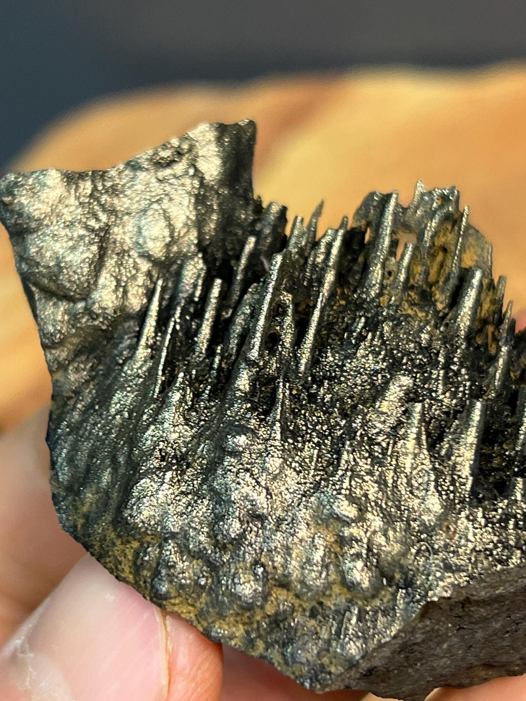 Showy Golden Color Stalactite Goethite - Crystal Gemstone AE 