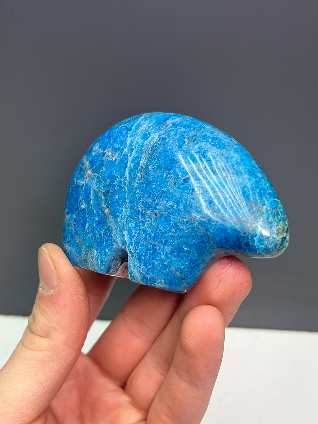 Blue Apatite Bear Totem - Crystal Gemstone AE 