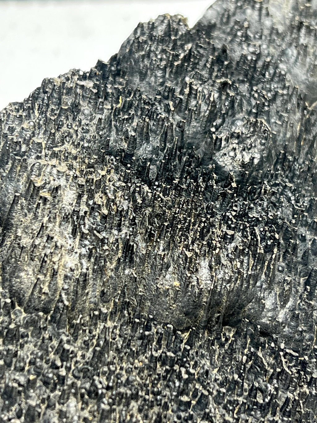 Museum quality, Very special slim stalactites Goethite specimen, Special Collections - Crystal Gemstone AE 