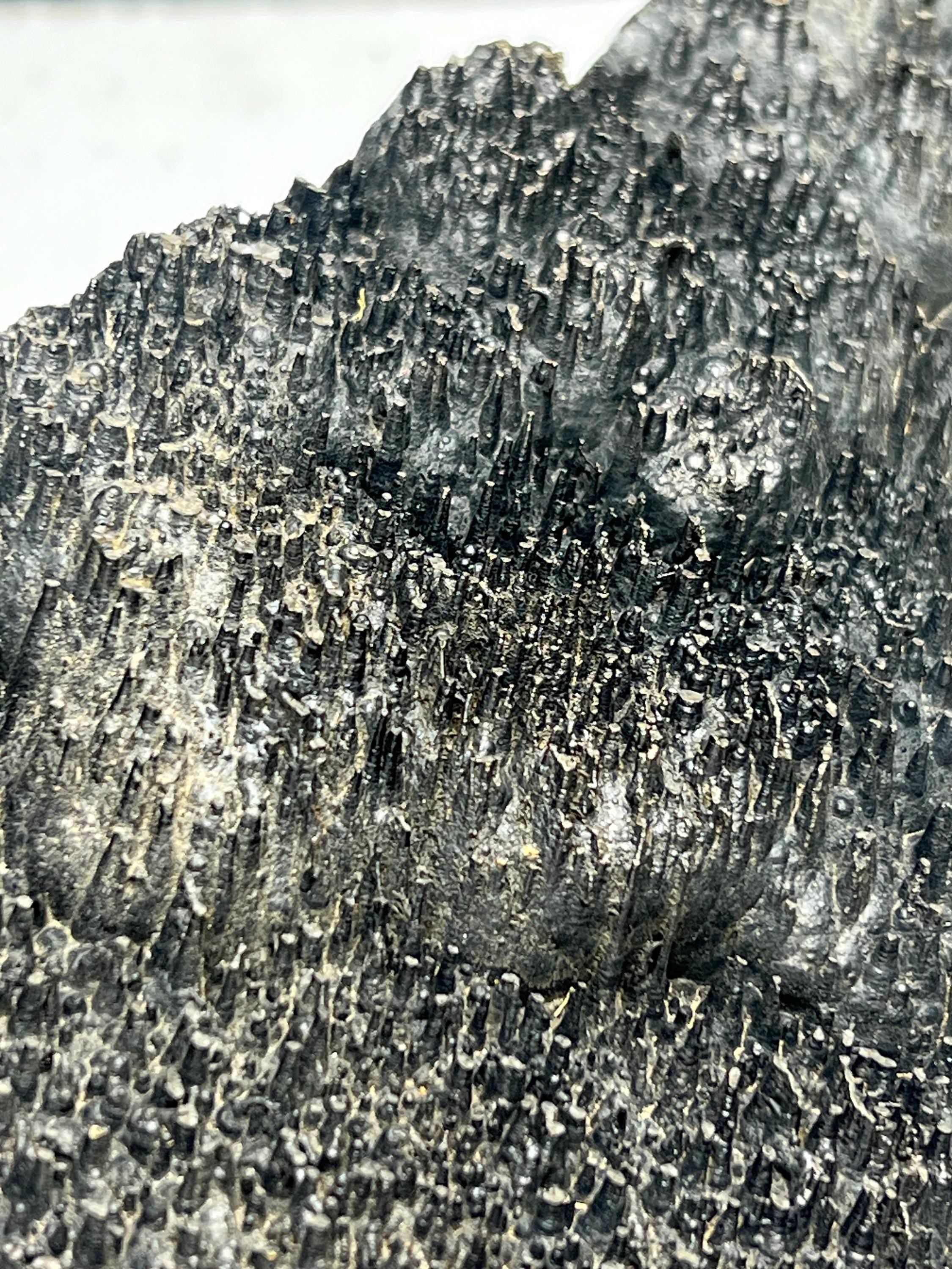 Museum quality, Very special slim stalactites Goethite specimen, Special Collections - Crystal Gemstone AE 
