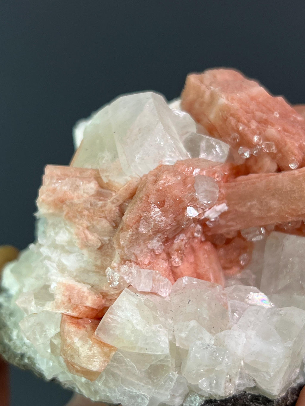 Pink Halite With Apophyllite - Crystal Gemstone AE 