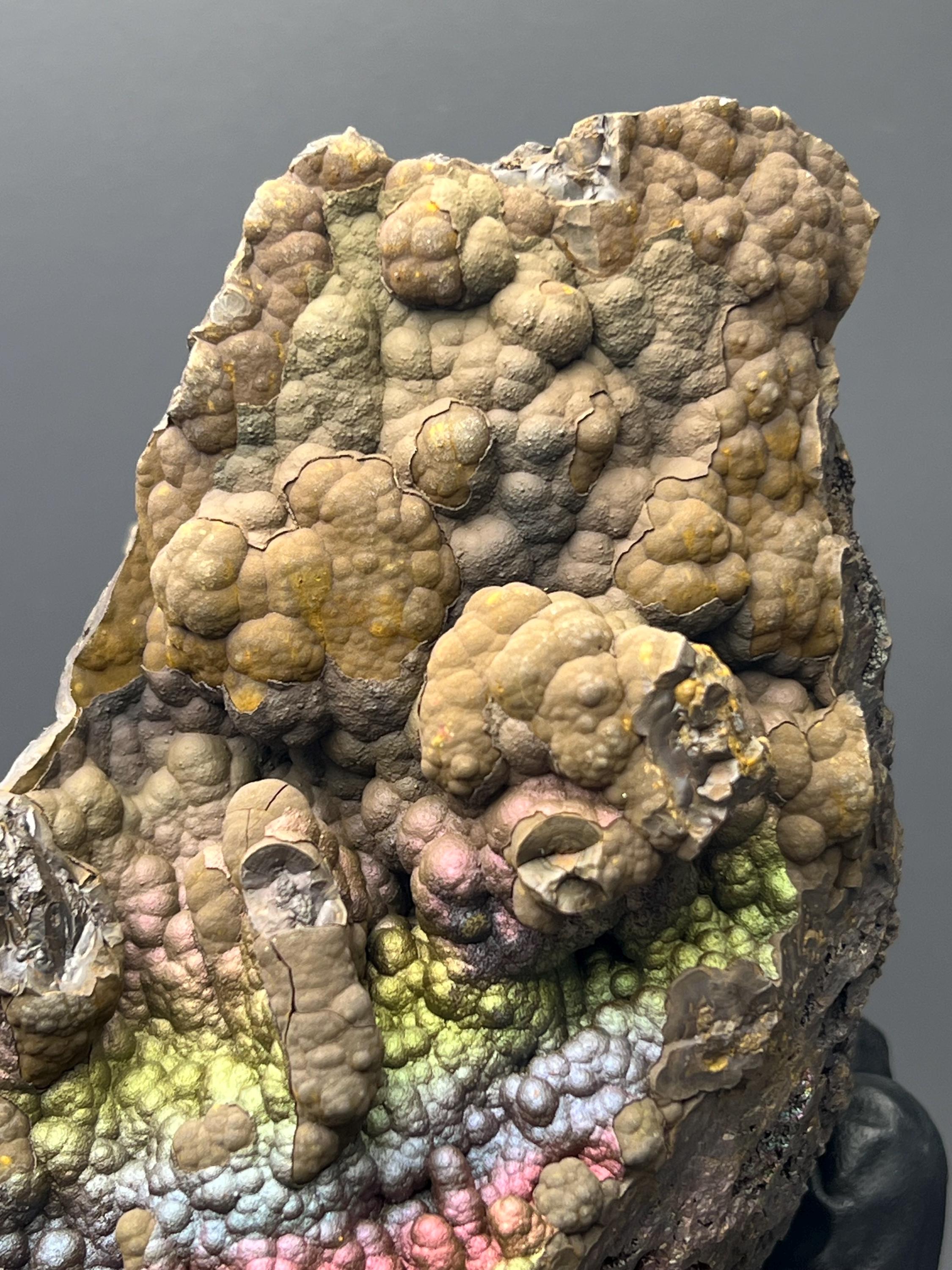 Museum Grade Colourful Iridescent Small Stalactites Goethite Specimen - Crystal Gemstone AE 