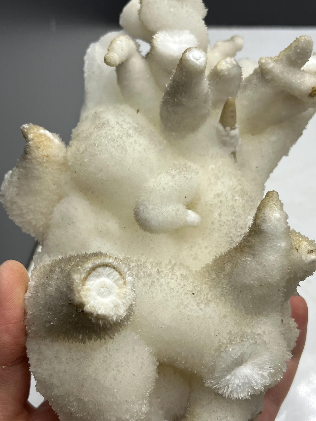 Special Formed Large Size Stalactite Aragonite Mineral, From Turkey - Crystal Gemstone AE 