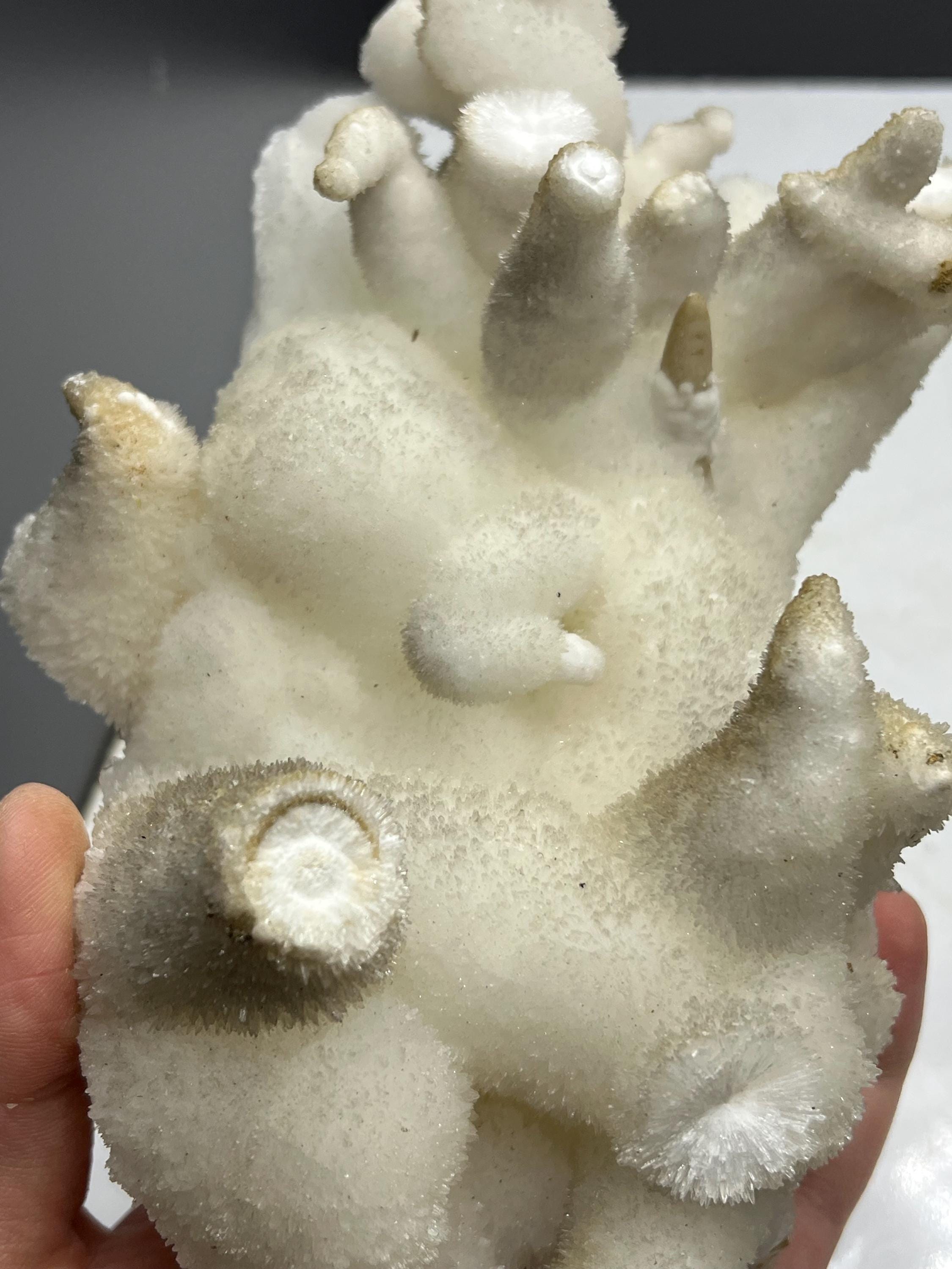 Special Formed Large Size Stalactite Aragonite Mineral, From Turkey - Crystal Gemstone AE 