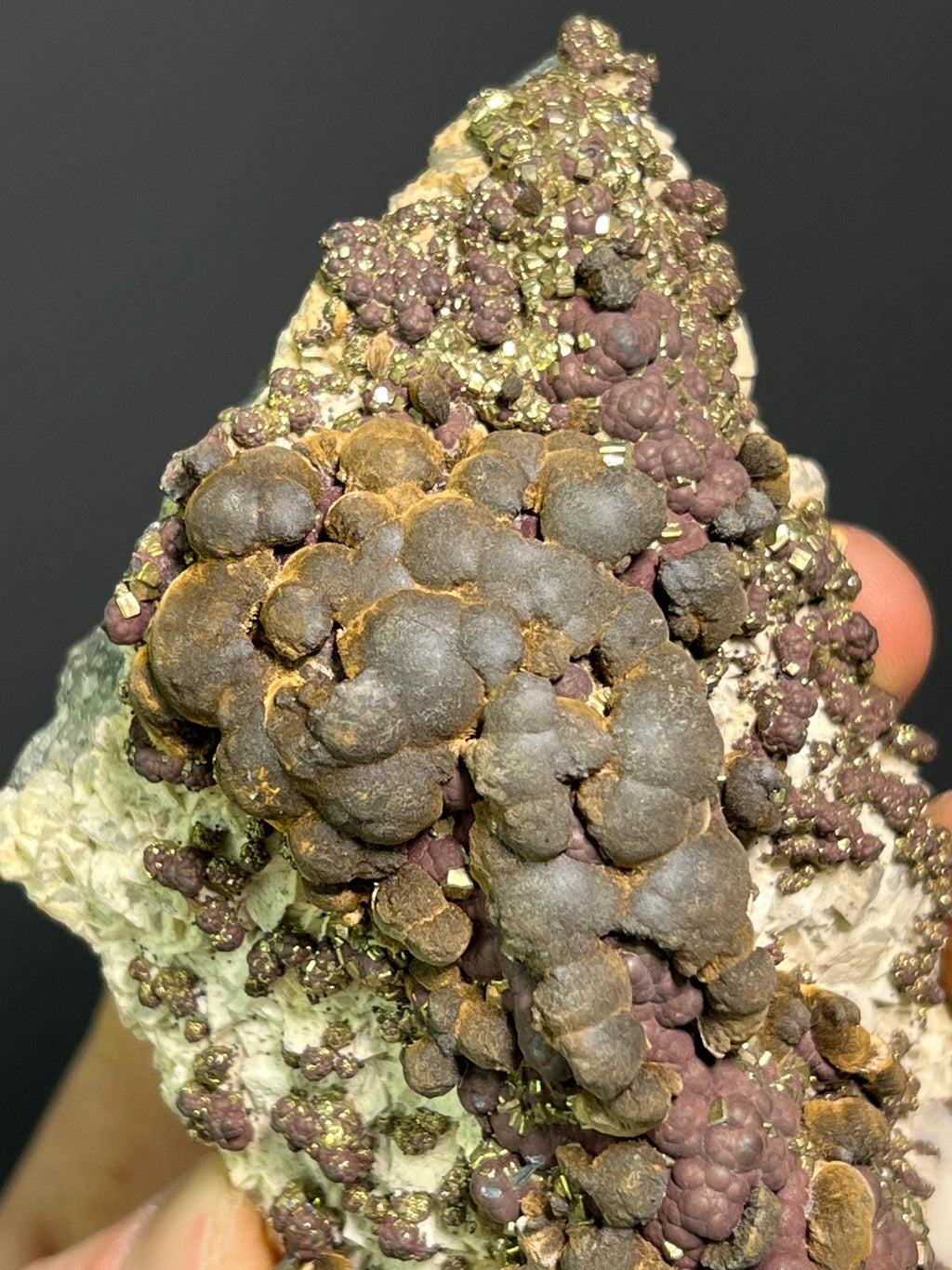 Reniform Goethite, Pyrite, and Marcasite Specimen, Wawa Ontario - Crystal Gemstone AE 