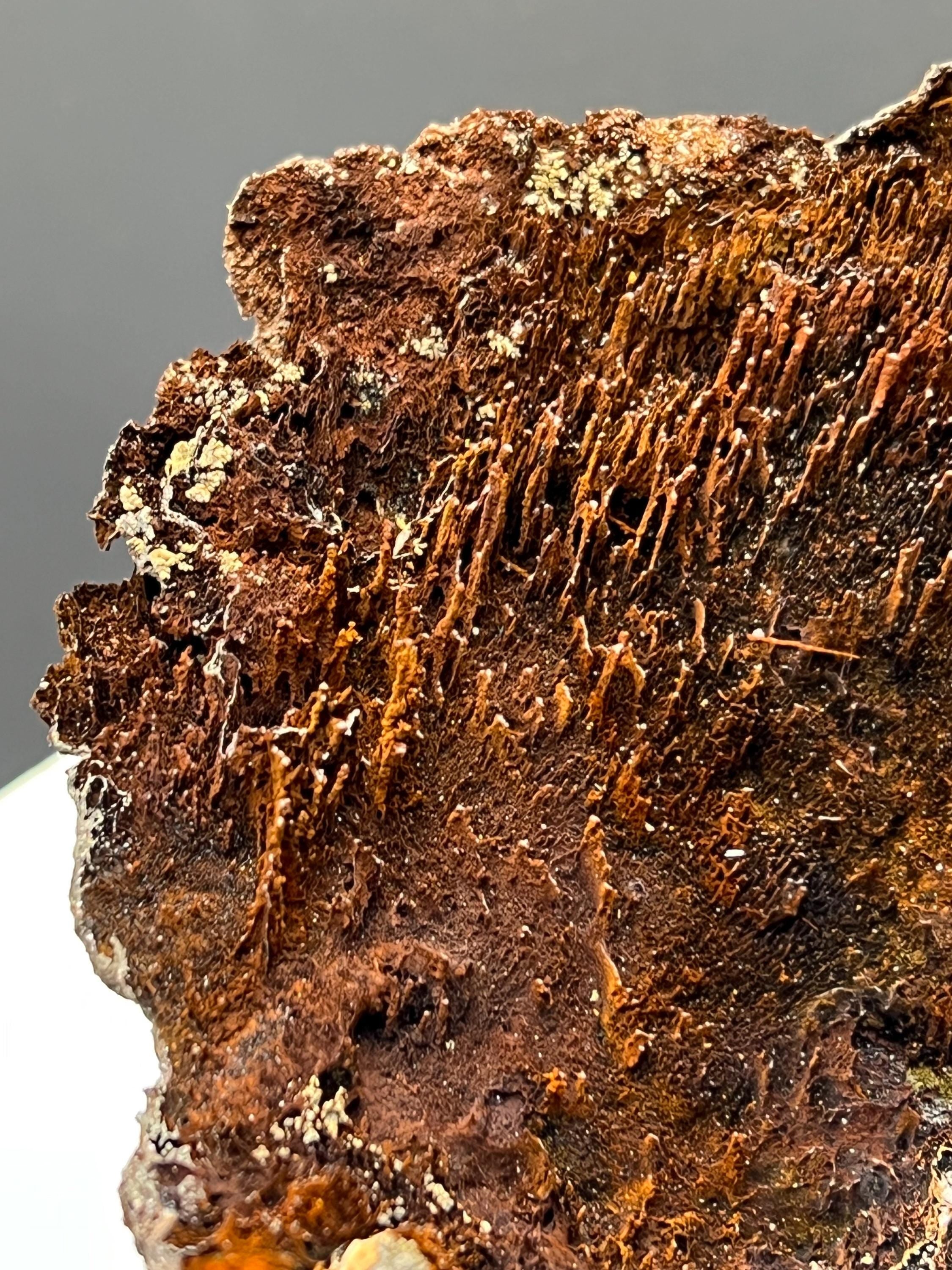 Museum Grade! Showy Limonite And Specularite With Stalactite Goethite Specimen - Crystal Gemstone AE 