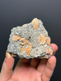 Barite With Calcite Specimen, 346gram - Crystal Gemstone AE 