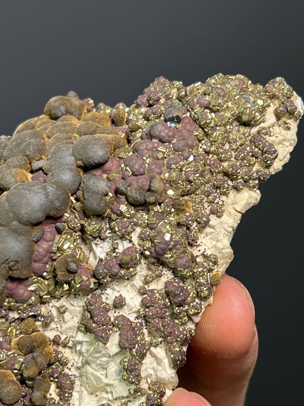 Reniform Goethite, Pyrite, and Marcasite Specimen, Wawa Ontario - Crystal Gemstone AE 