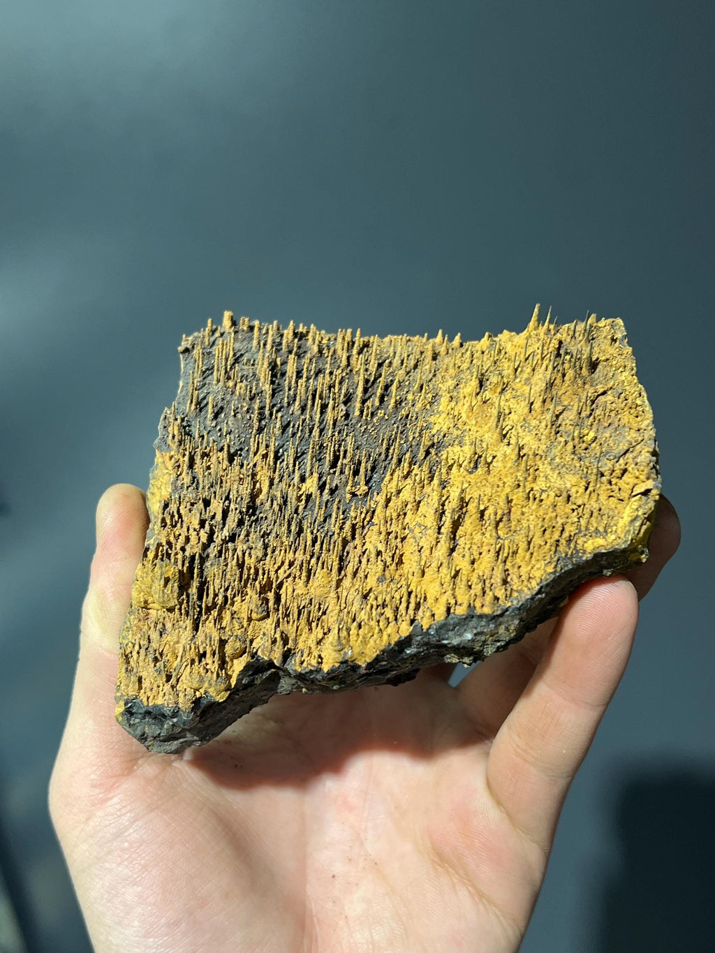 Museum Piece, Limonite With Stalactite Goethite - Crystal Gemstone AE 
