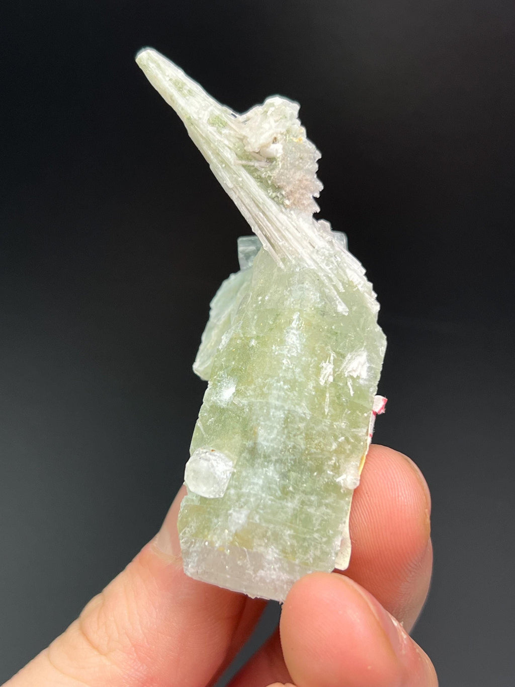 Apophyllite With Scolecite Specimen - Crystal Gemstone AE 