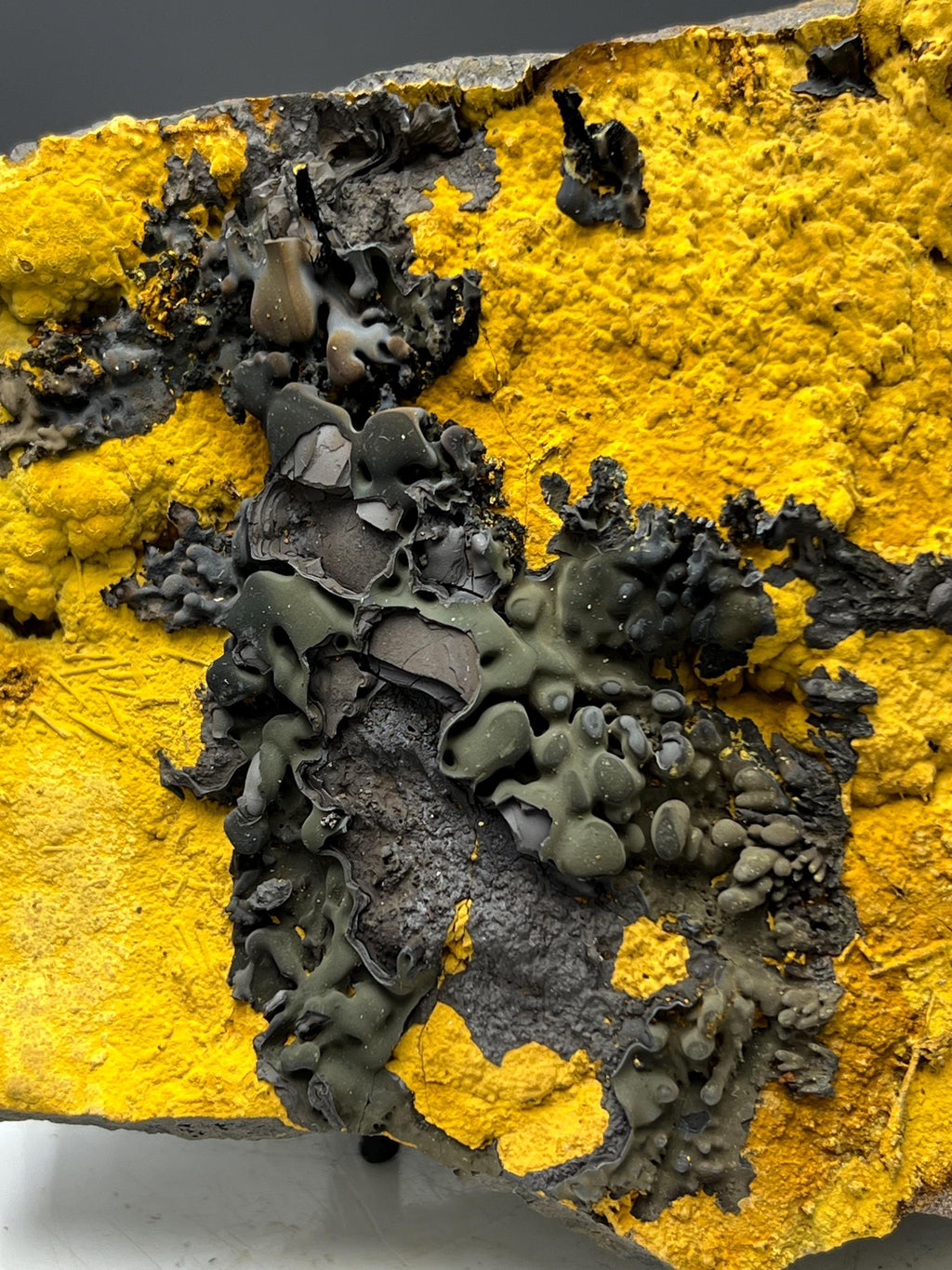 Museum Grade, Very Special Limonite With Small Stalactites Goethite Specimen - Crystal Gemstone AE 