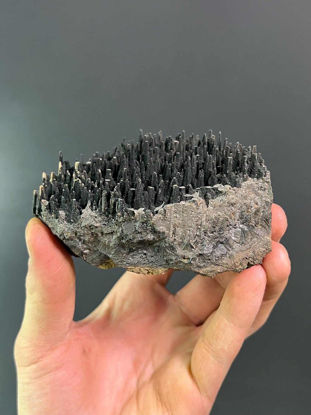 Museum Quality Forest Stalactite Goethite - Crystal Gemstone AE 