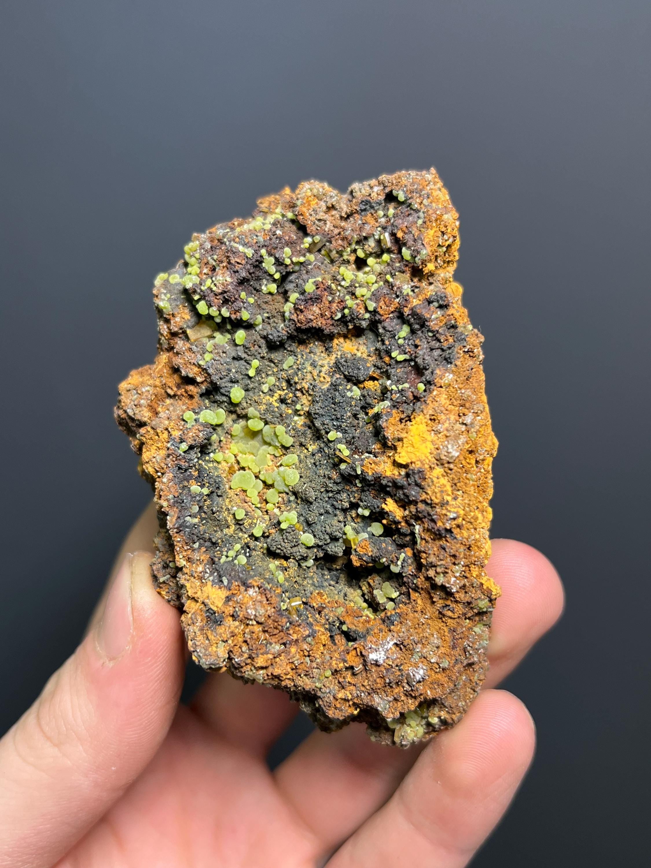 Mexican Mimetite Specimen – Botryoidal Mineral, Honey-Yellow Crystals - Crystal Gemstone AE 