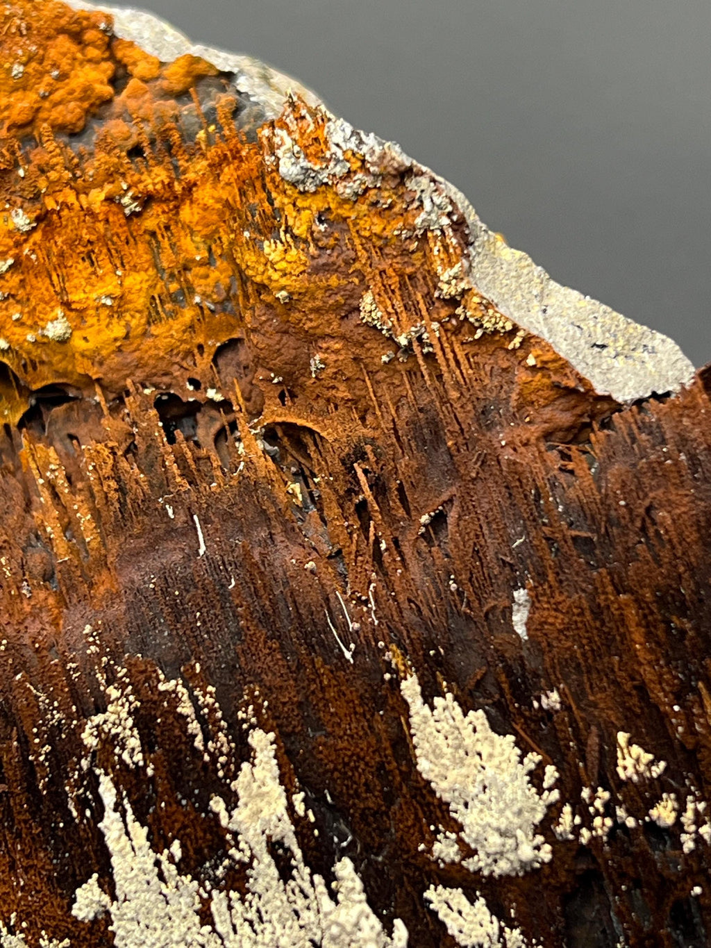 Museum Grade, Limonite And Specularite With Stalactite Goethite Specimen, For Special Collection Piece! - Crystal Gemstone AE 