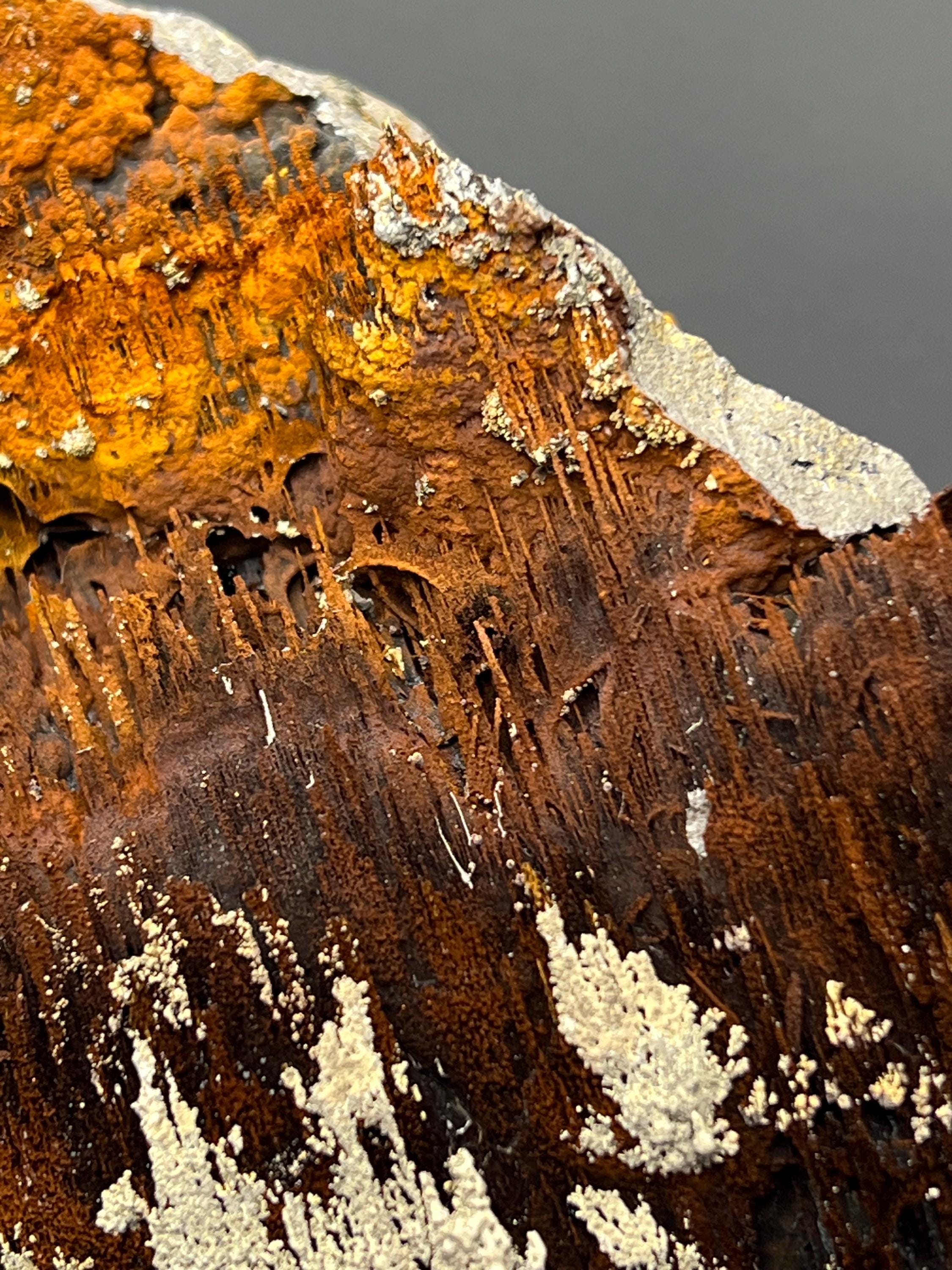 Museum Grade, Limonite And Specularite With Stalactite Goethite Specimen, For Special Collection Piece! - Crystal Gemstone AE 
