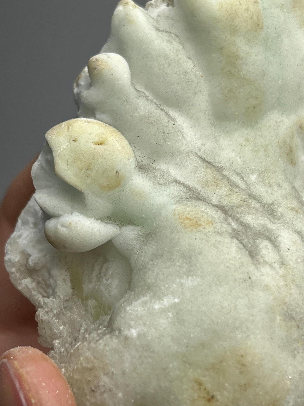 Special Formed And Showy Turquoise Aragonite Mineral, From Turkey - Crystal Gemstone AE 