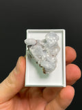 Very Special Brucite Specimen - Crystal Gemstone AE 