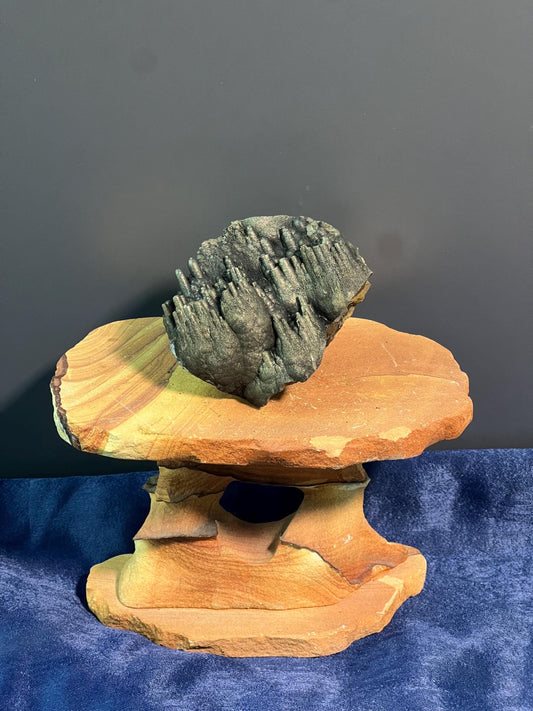 "Museum Grade" Golden Color Stalactite Goethite - Crystal Gemstone AE 