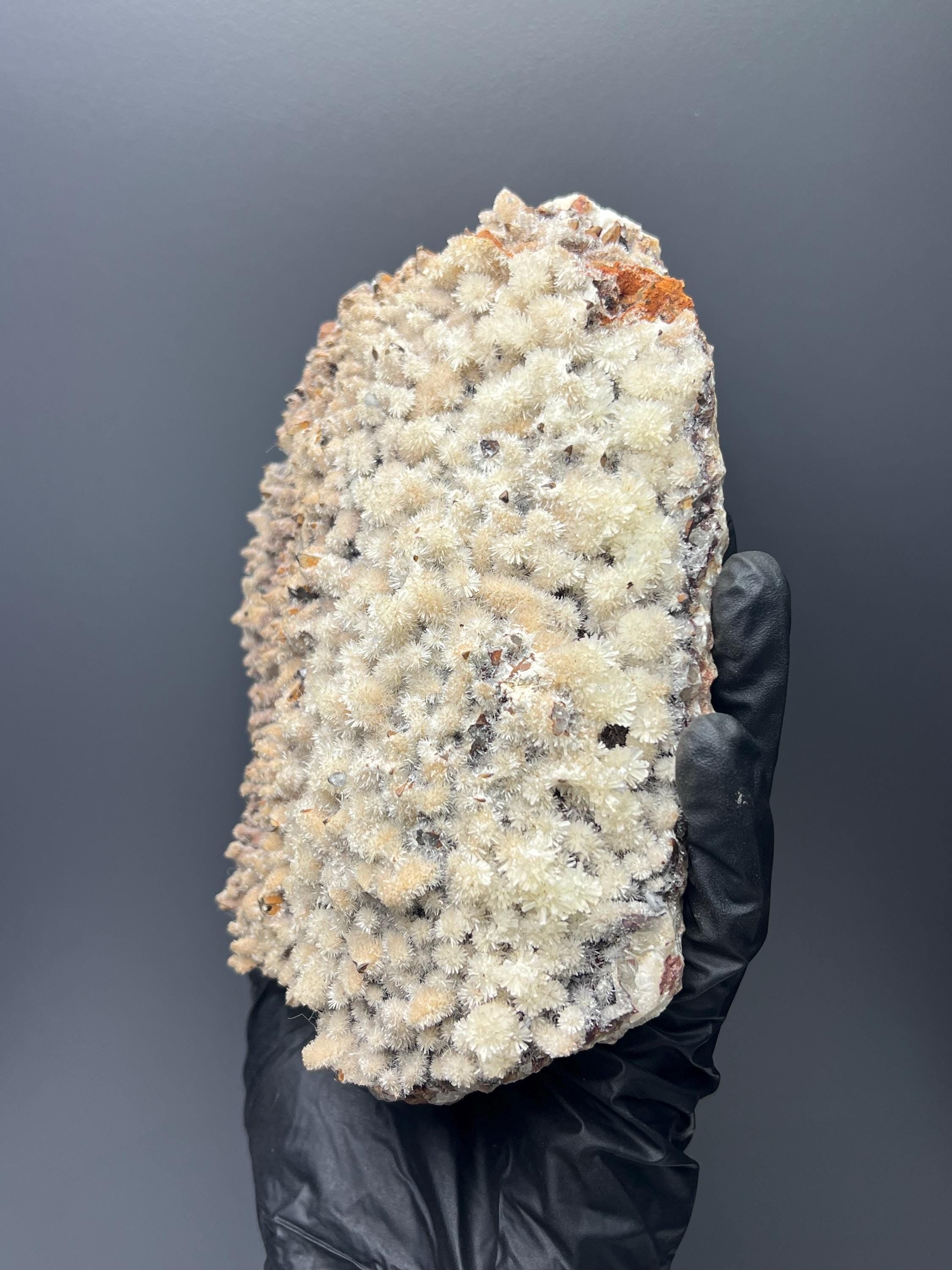 Feather Crystal Calcite Specimen - Crystal Gemstone AE 