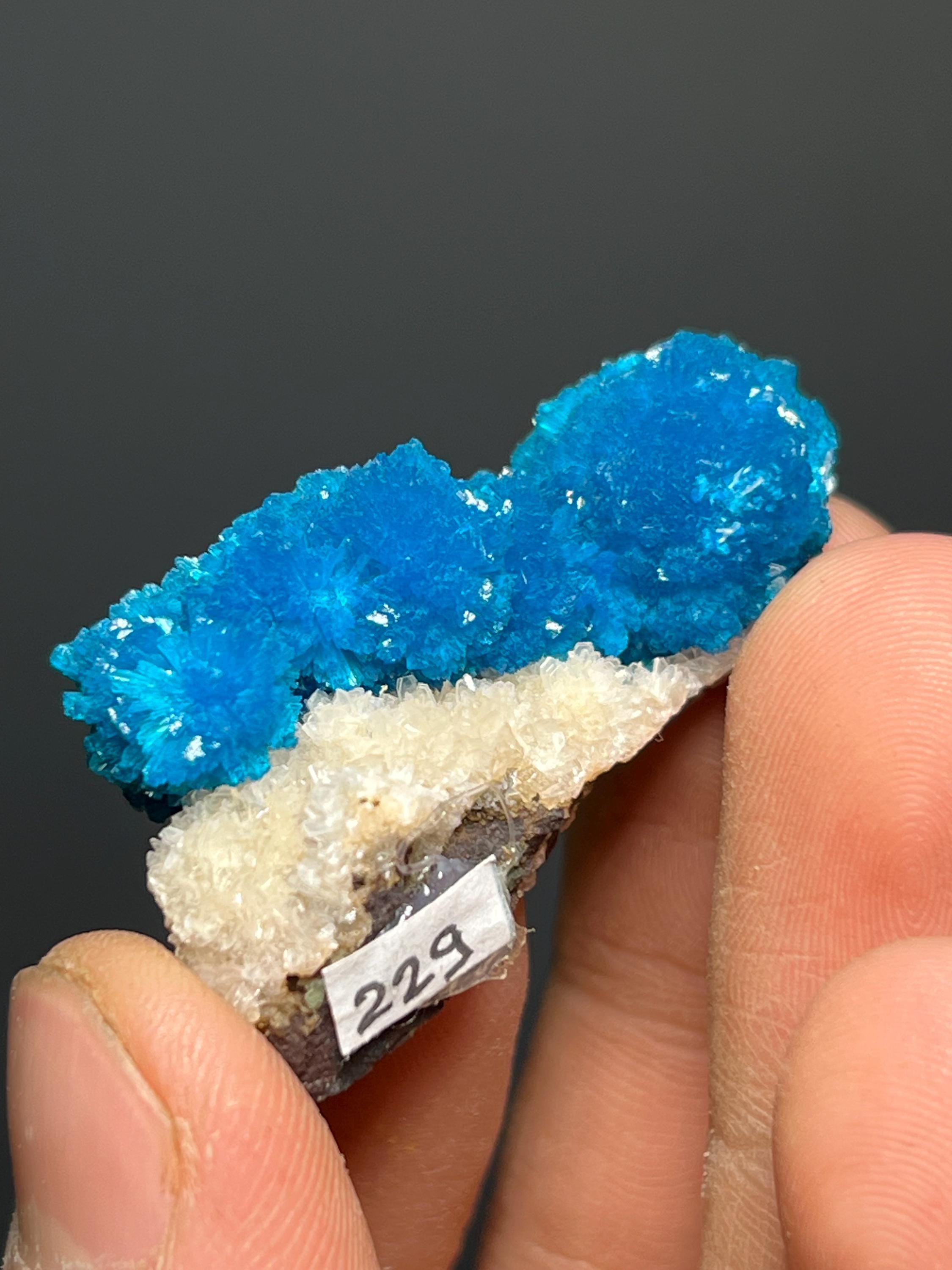 Museum Grade, Cavansite Specimen - India - Crystal Gemstone AE 