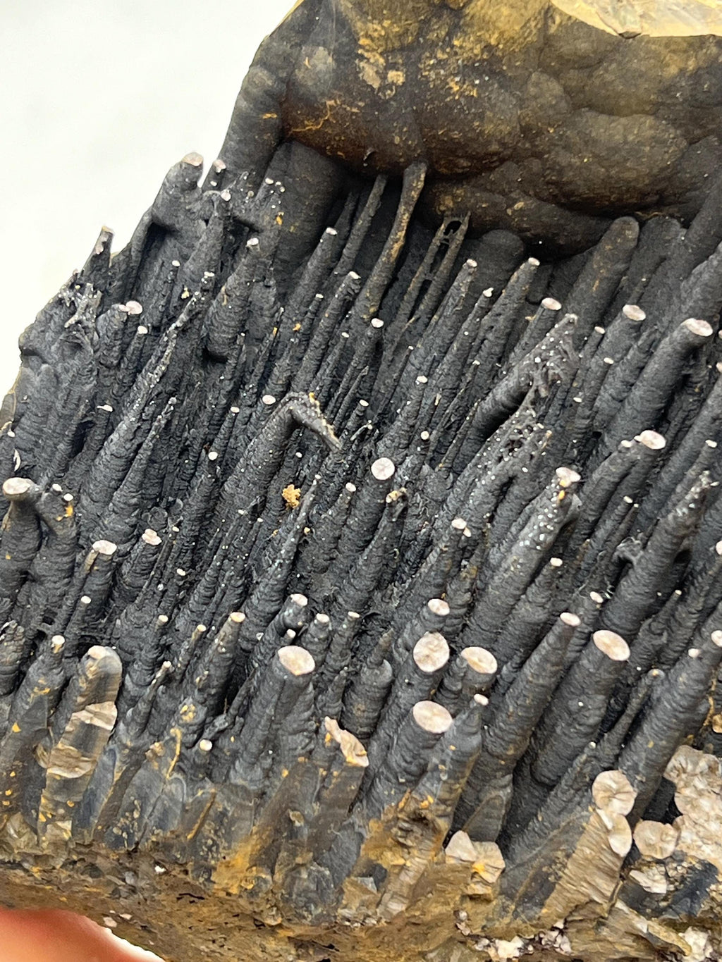 Large Stalactite Goethite Mineral, Stalactite Bridges, Turkey - Crystal Gemstone AE 