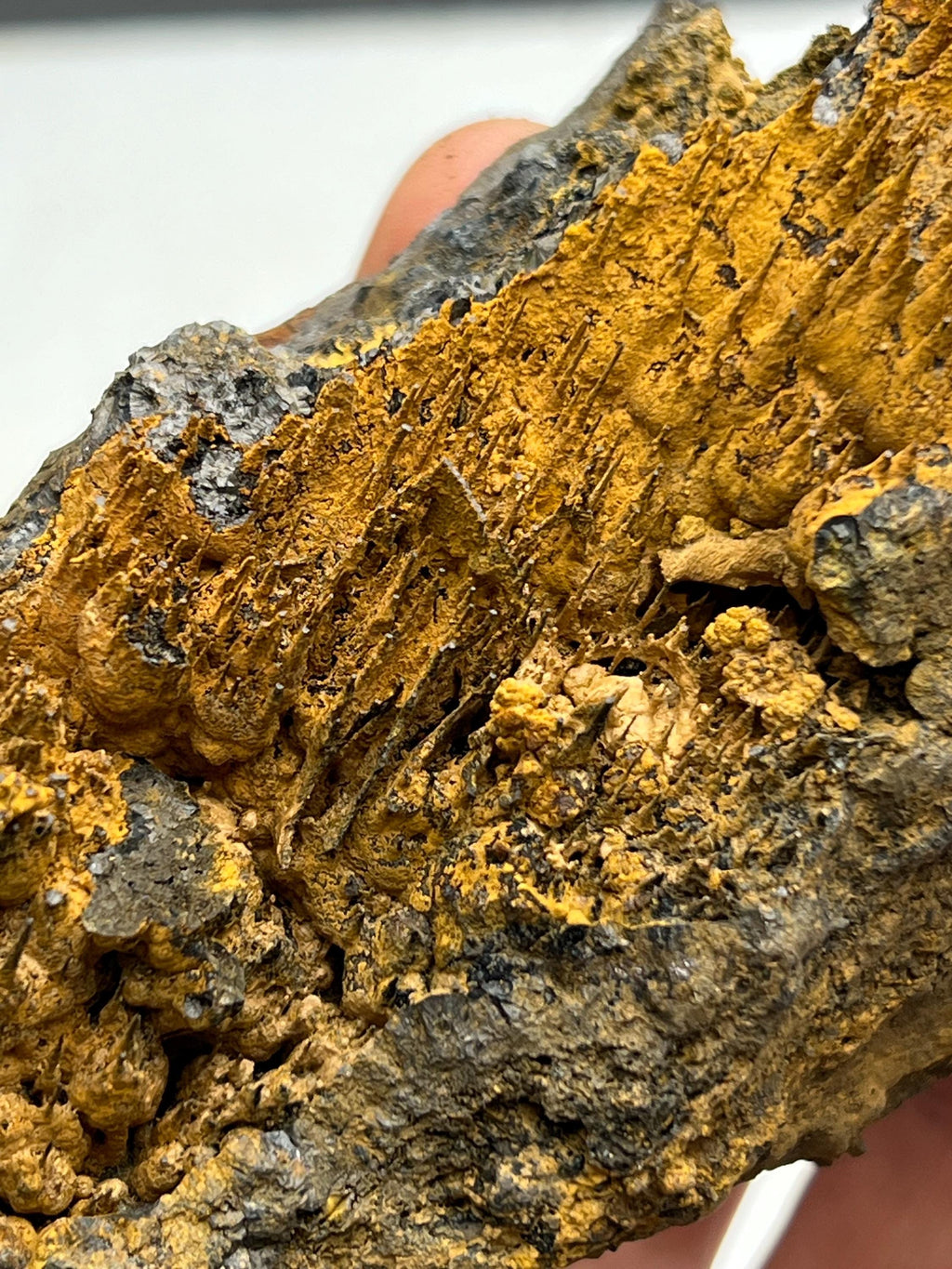 Museum quality, Very showy limonite on stalactite hematite, special collections piece - Crystal Gemstone AE 