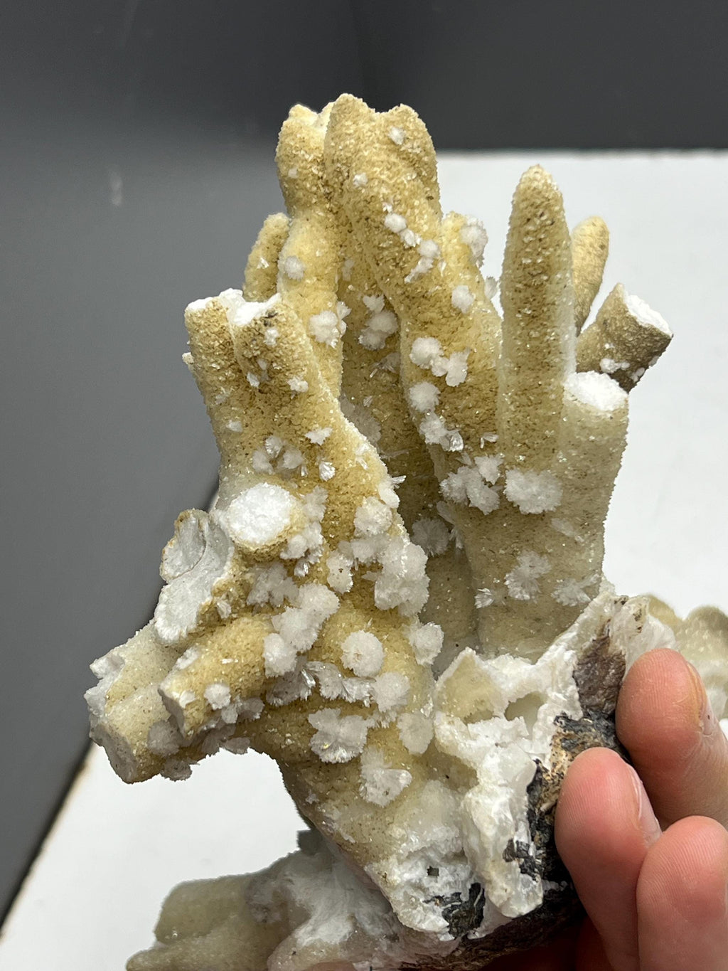 Very Special And Showy Stalactite Aragonite Mineral, From Turkey - Crystal Gemstone AE 