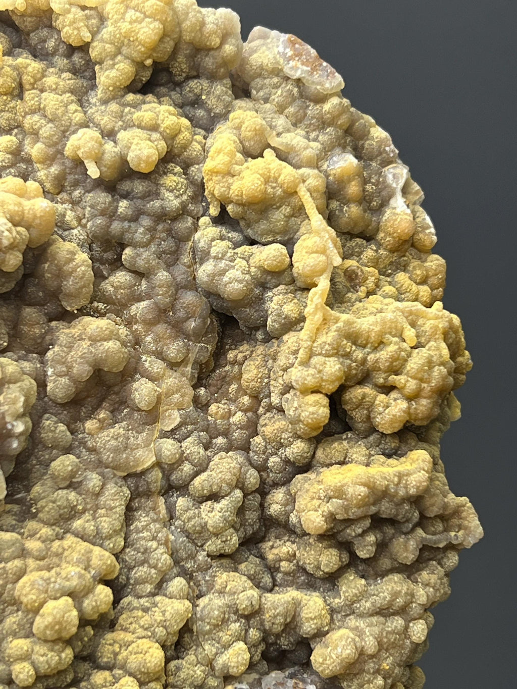 Botryoidal And Small Stalactite Formation Chalcedony Specimen - Crystal Gemstone AE 