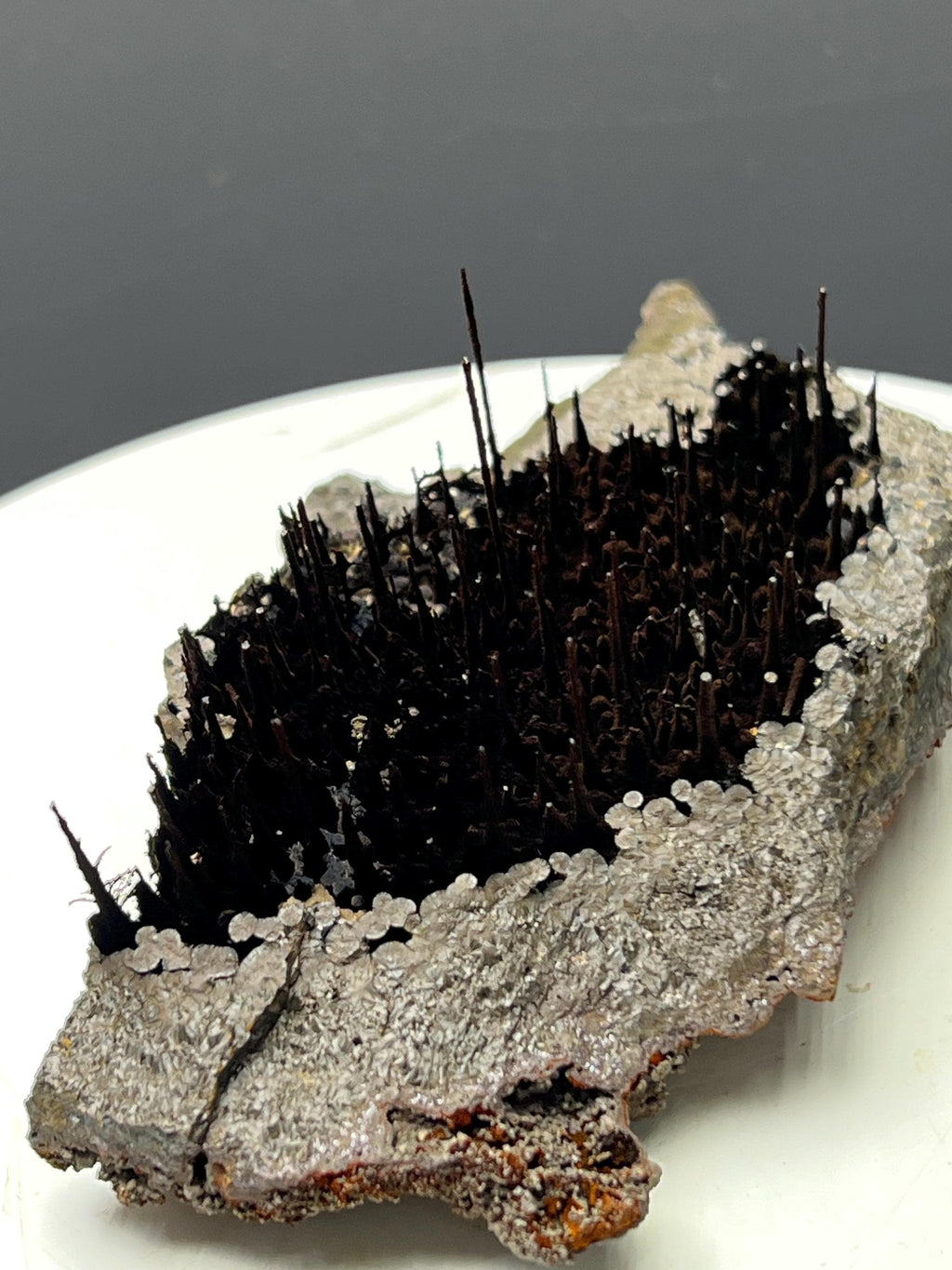 Museum Grade, Limonite With Stalactite Forest Goethite, For Special Collection - Crystal Gemstone AE 