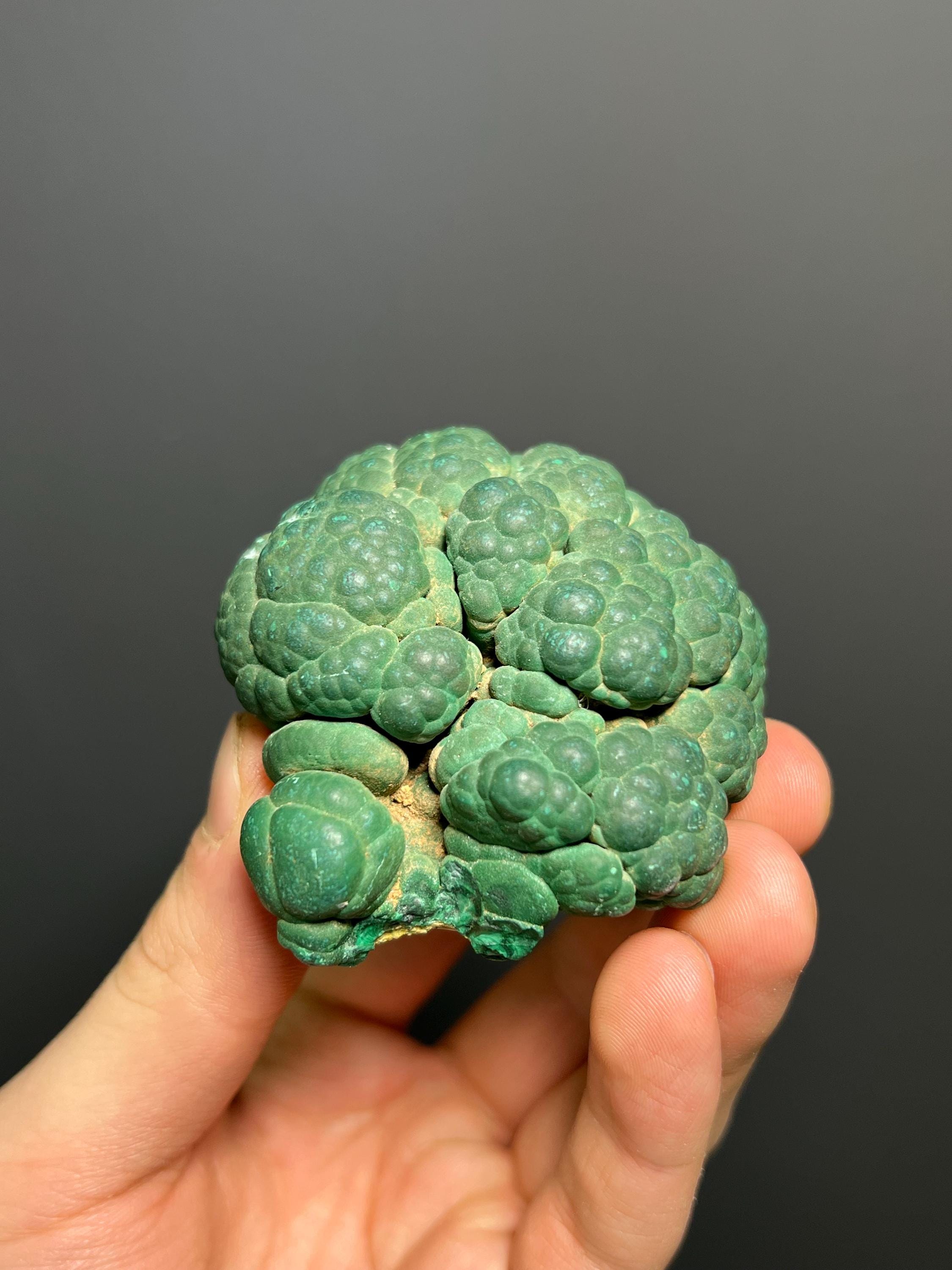 Malachite Specimen - Congo - Crystal Gemstone AE 