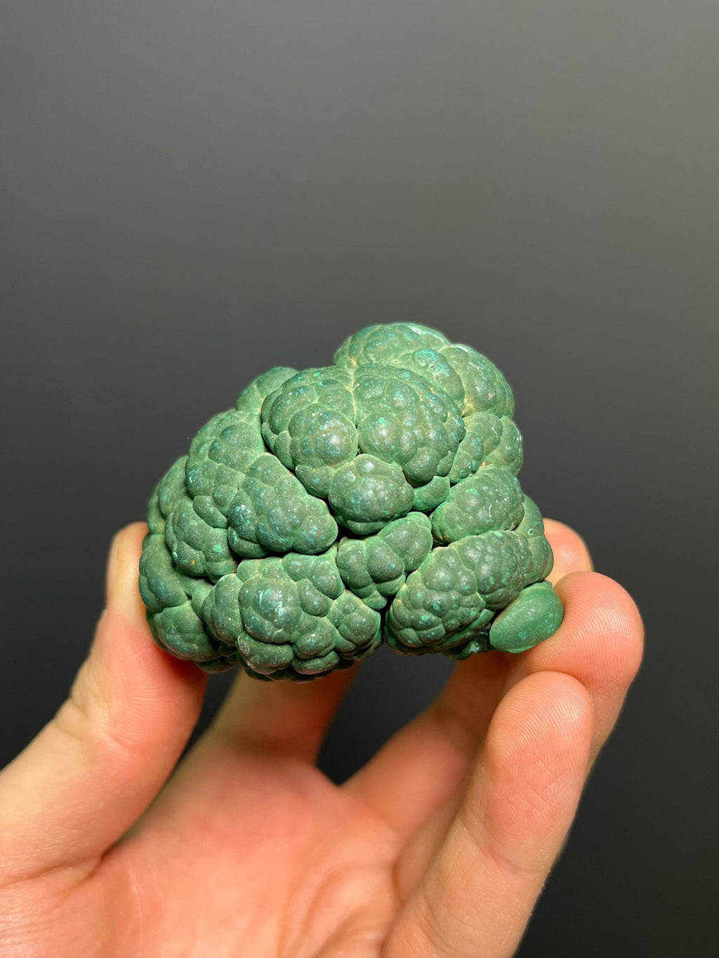 Malachite Specimen - Congo - Crystal Gemstone AE 