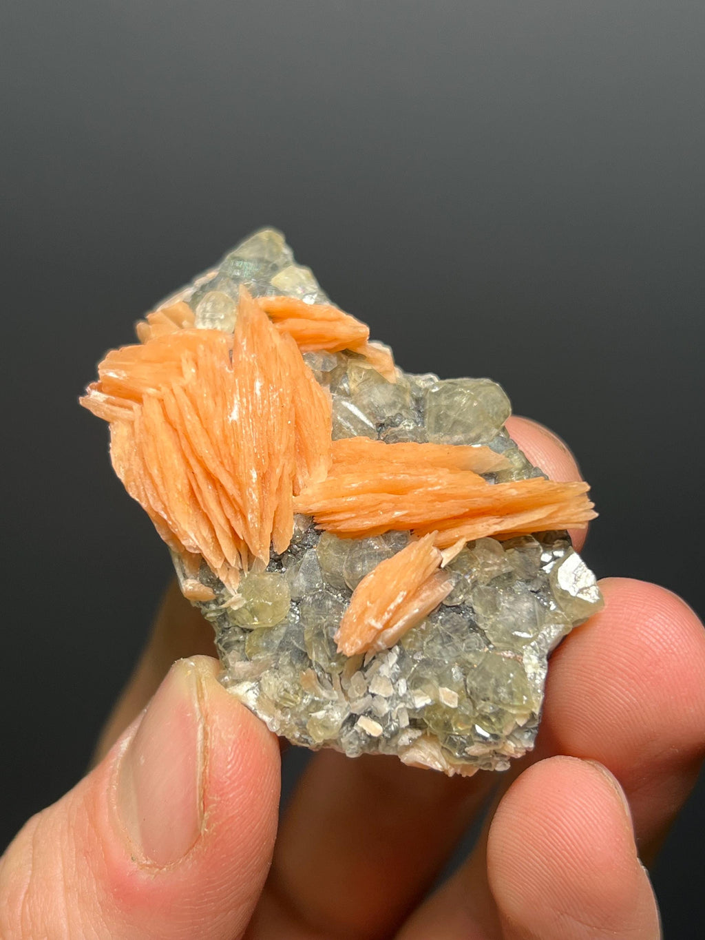 Cerussite And Barite On Galena Specimen, 68gram - Crystal Gemstone AE 