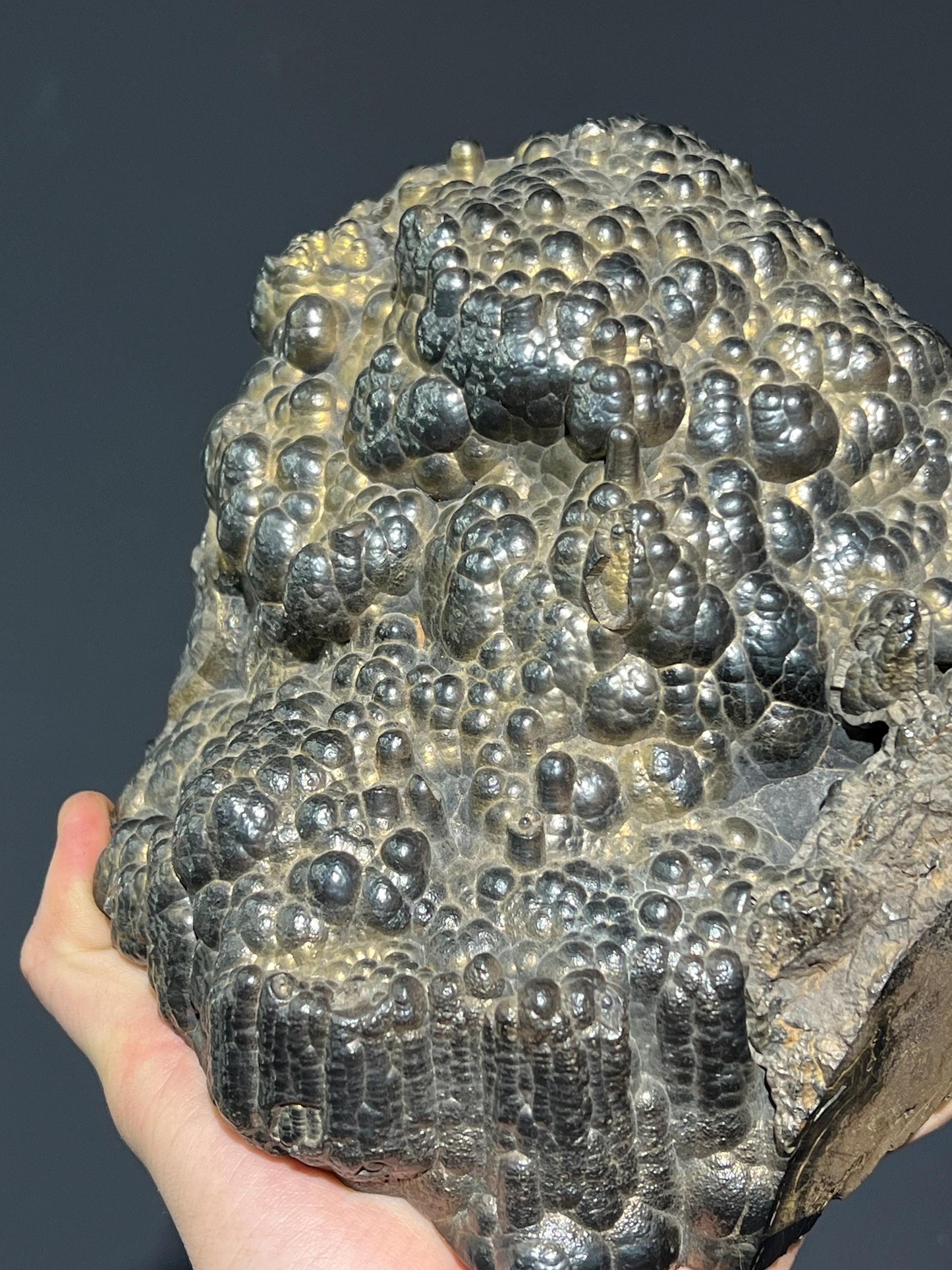 Museum Quality Showy Large Size Golden Color Botryoidal Goethite - Crystal Gemstone AE 