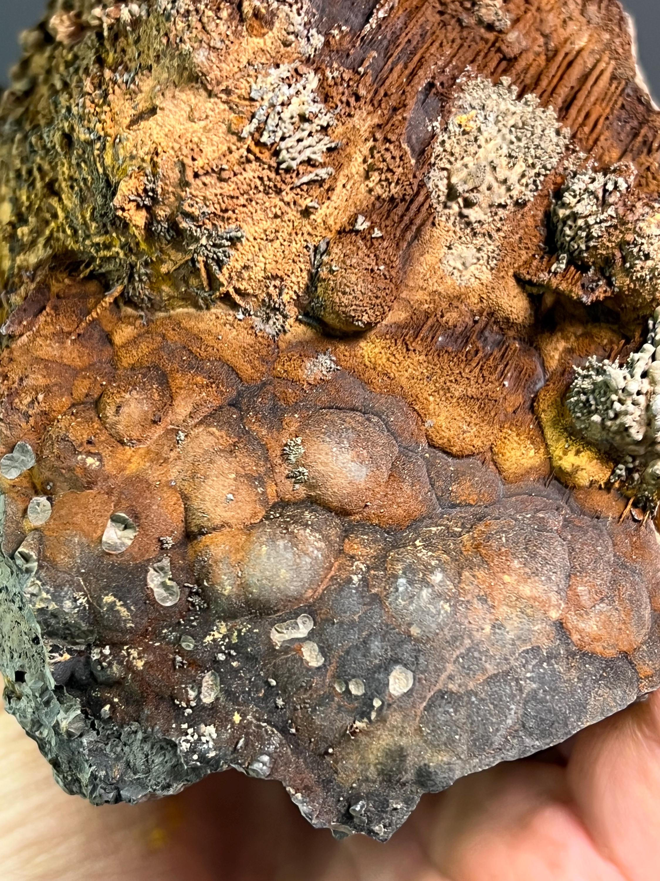 Museum Grade Limonite And Specularite On Stalactite And Botryoidal Formation Goethite - Crystal Gemstone AE 