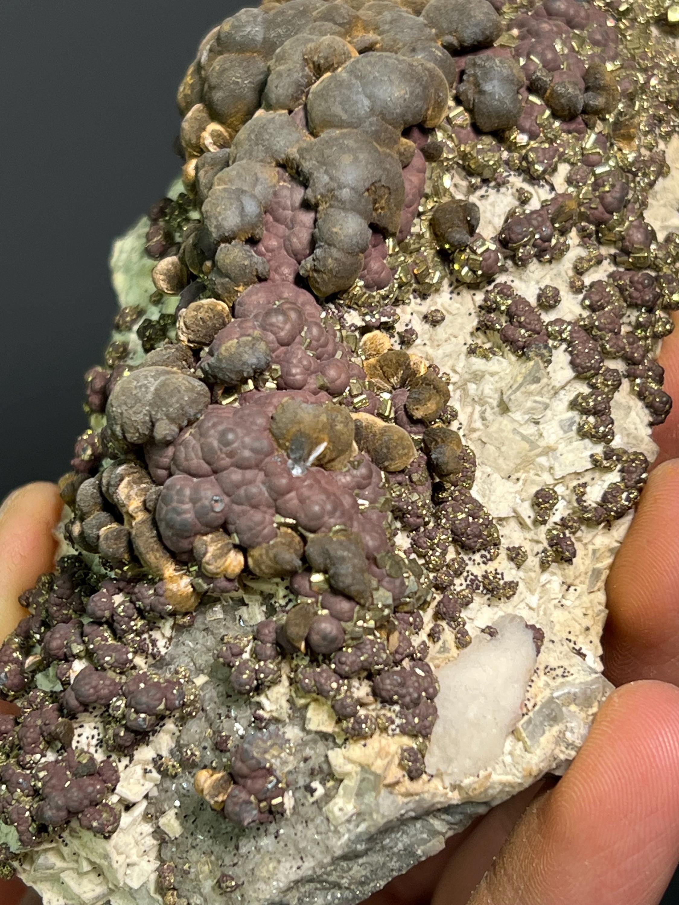 Reniform Goethite, Pyrite, and Marcasite Specimen, Wawa Ontario - Crystal Gemstone AE 