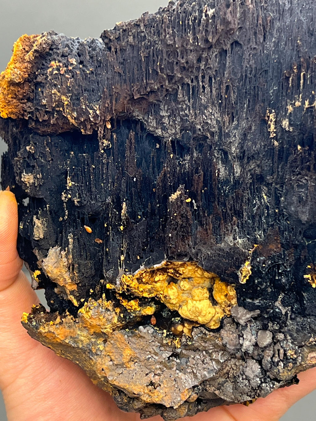 Limonite And Specularite On Stalactite Goethite - Crystal Gemstone AE 