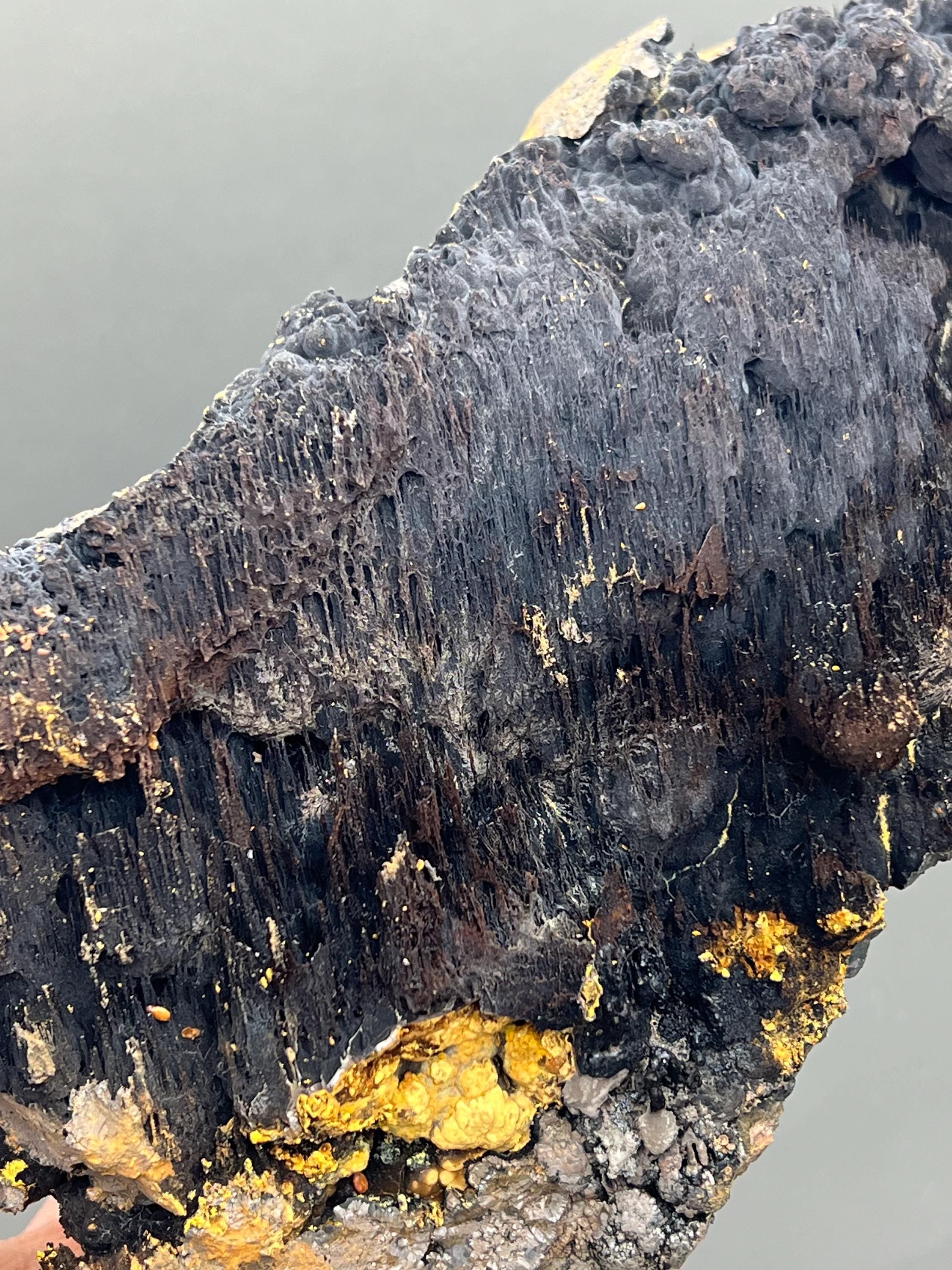 Limonite And Specularite On Stalactite Goethite - Crystal Gemstone AE 