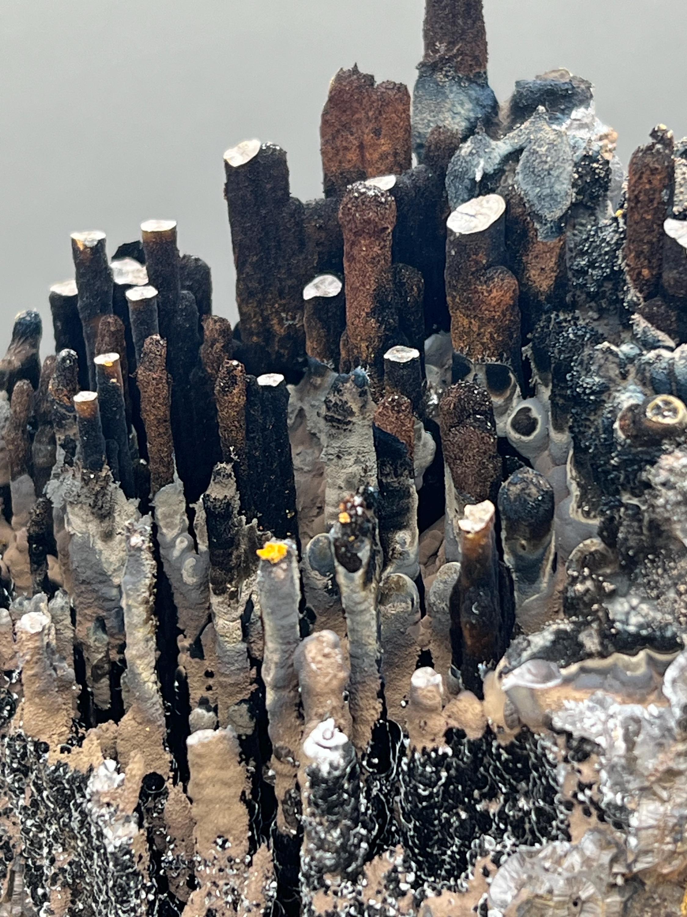 Limonite And Specularite on Goethite Stalactite, Rare Mineral Specimen - Crystal Gemstone AE 