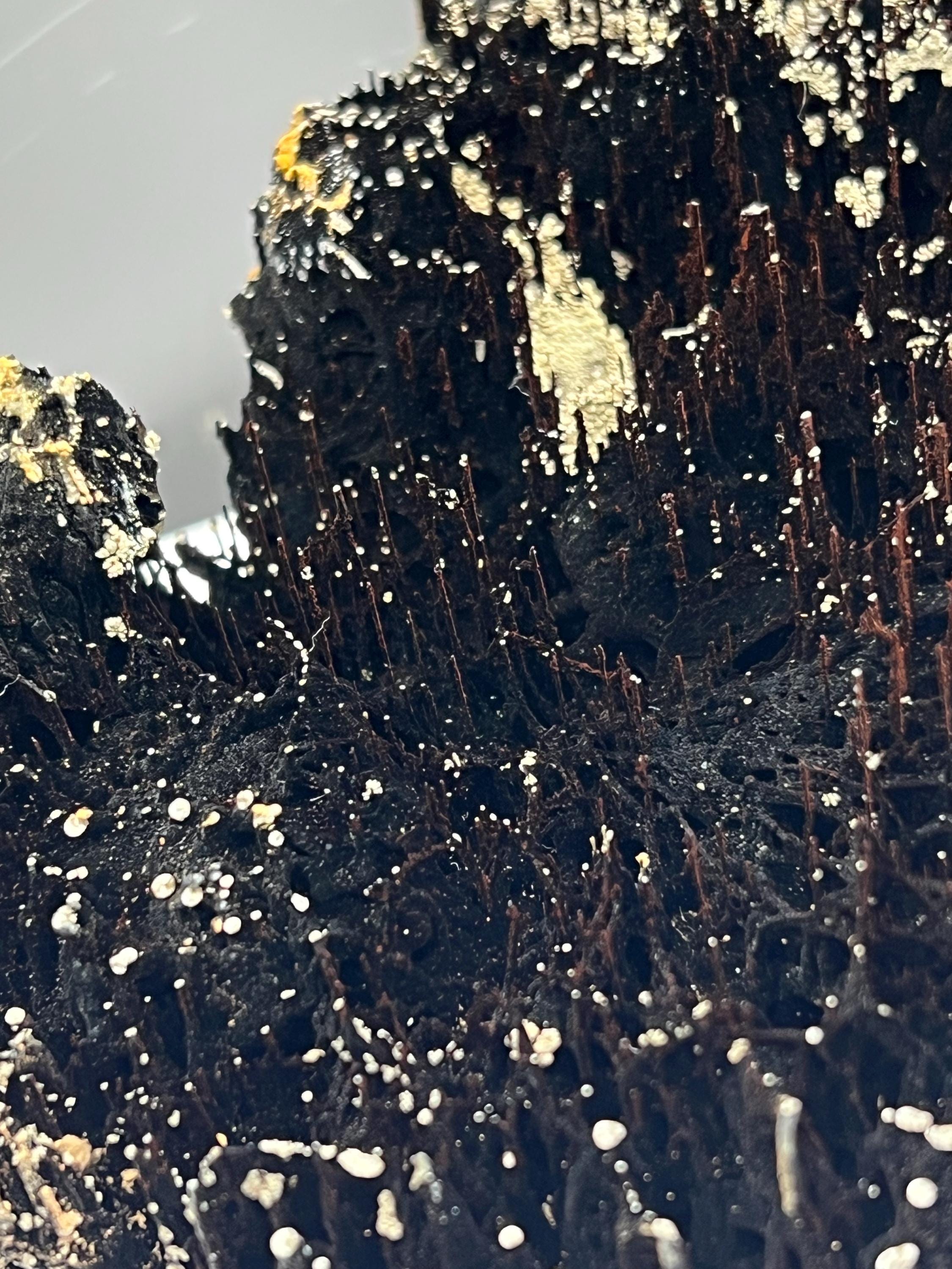 Rare Find! Limonite And Specularite On Stalactite Hematite - Crystal Gemstone AE 