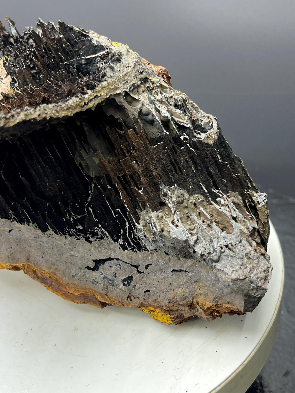 Museum Grade, Very Special Limonite With Stalactite Goethite Specimen - Crystal Gemstone AE 