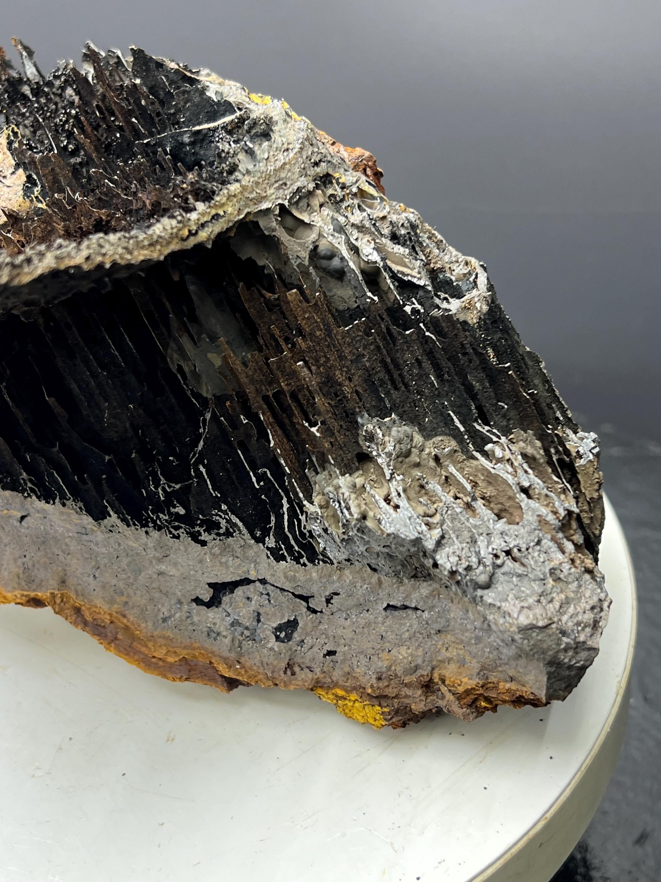 Museum Grade, Very Special Limonite With Stalactite Goethite Specimen - Crystal Gemstone AE 