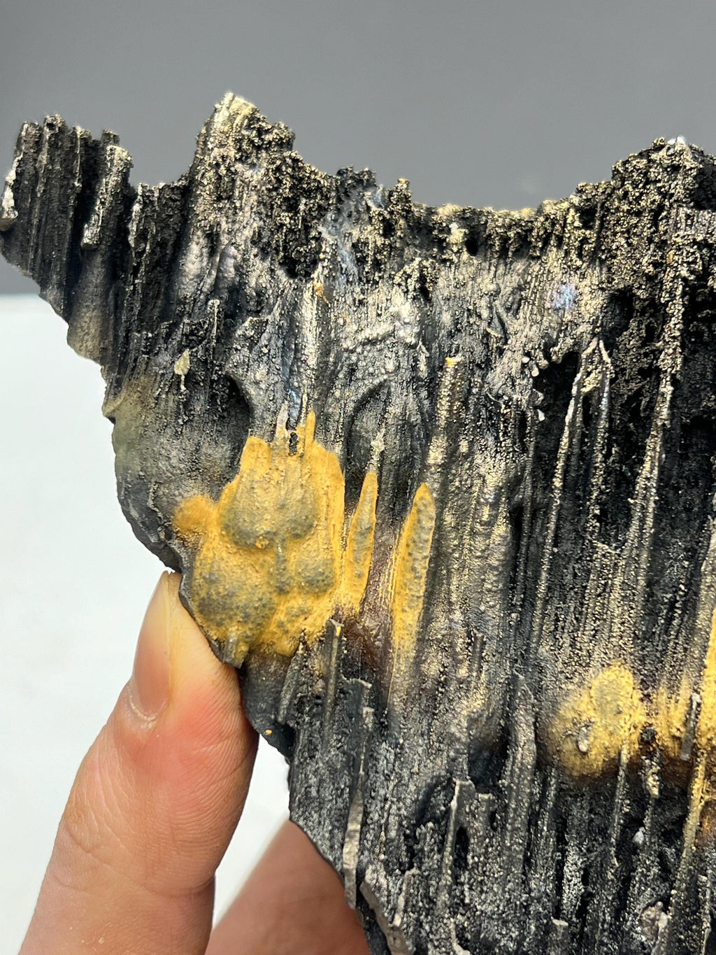 Museum quality, Very showy limonite with golden color stalactite Goethite, special collections piece - Crystal Gemstone AE 