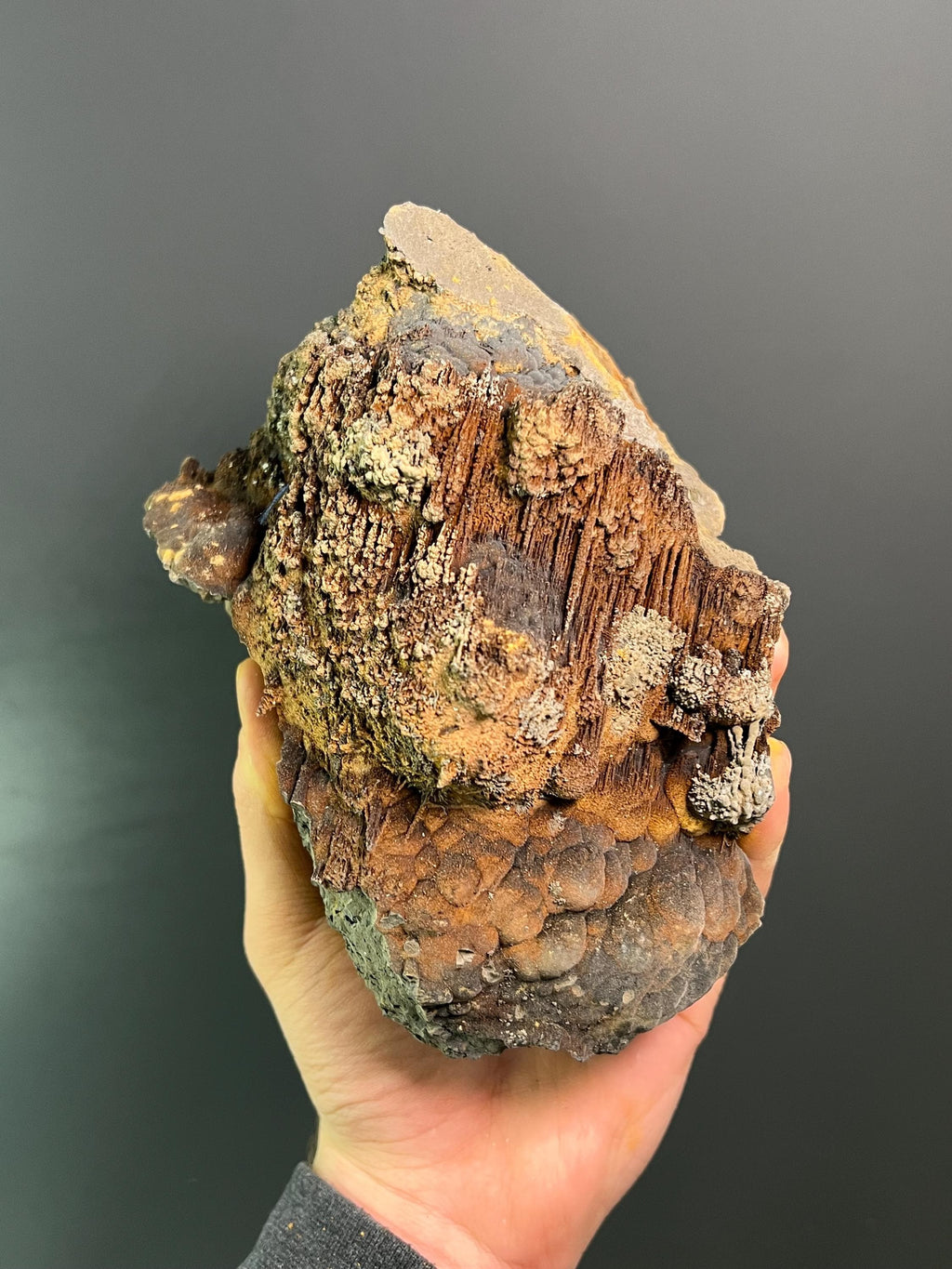Museum Grade Limonite And Specularite On Stalactite And Botryoidal Formation Goethite - Crystal Gemstone AE 