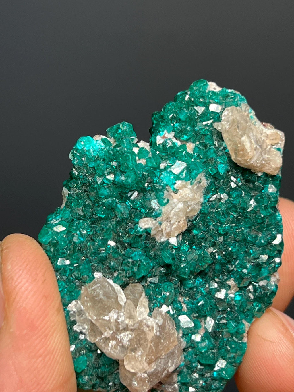 Dioptase With Cerussite - Namibia - Crystal Gemstone AE 