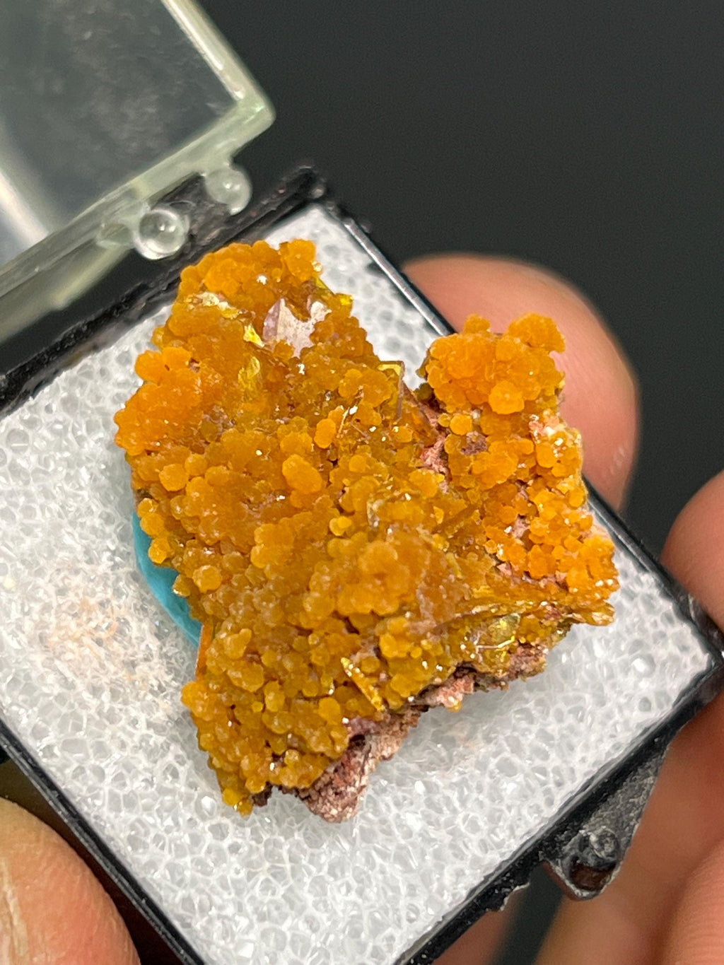 Museum Grade! Wulfenite On Mimetite Specimen - Crystal Gemstone AE 