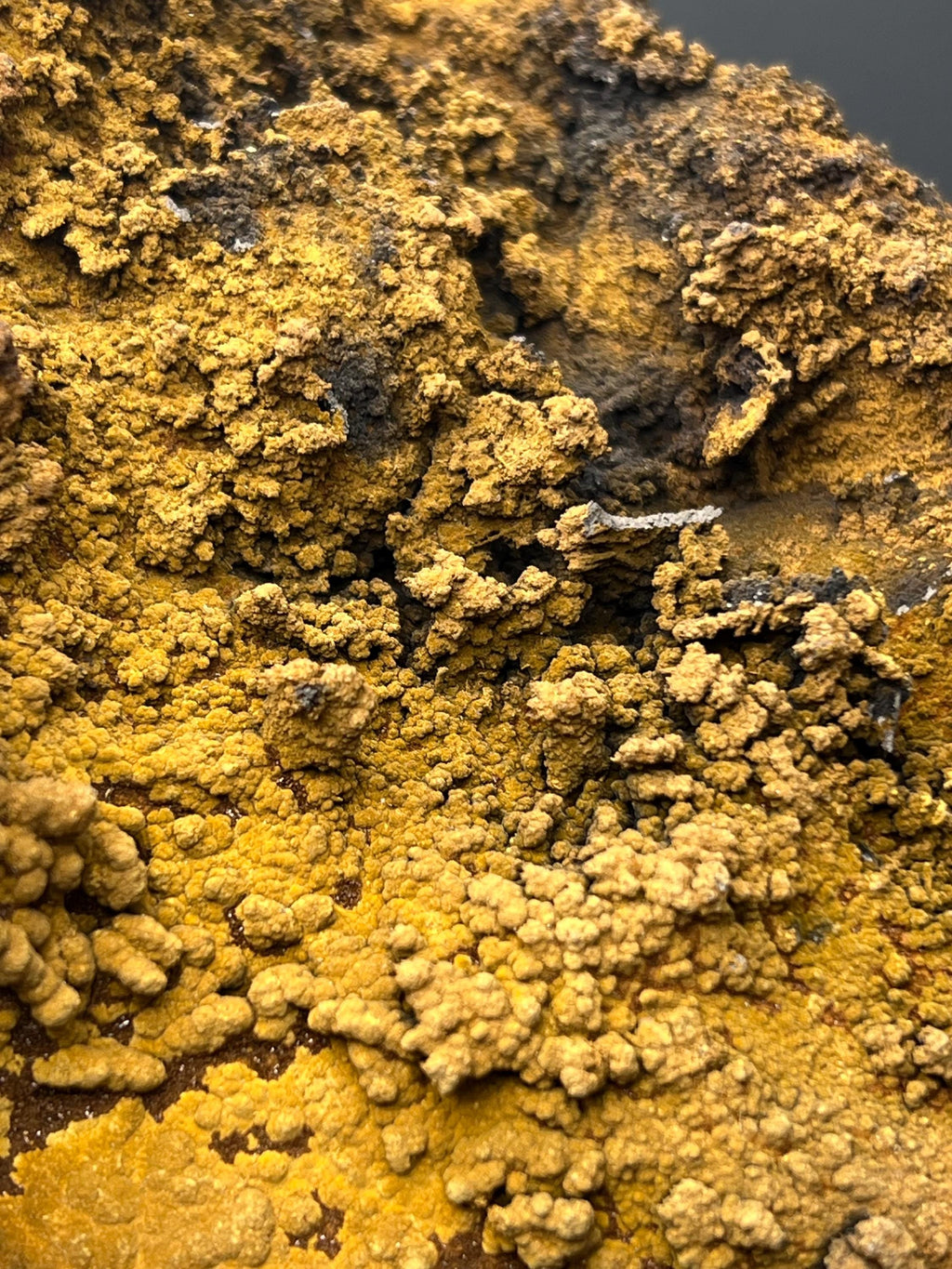 Museum Quality, Very Showy Special Limonite With Small Stalactites Goethite Specimen - Crystal Gemstone AE 
