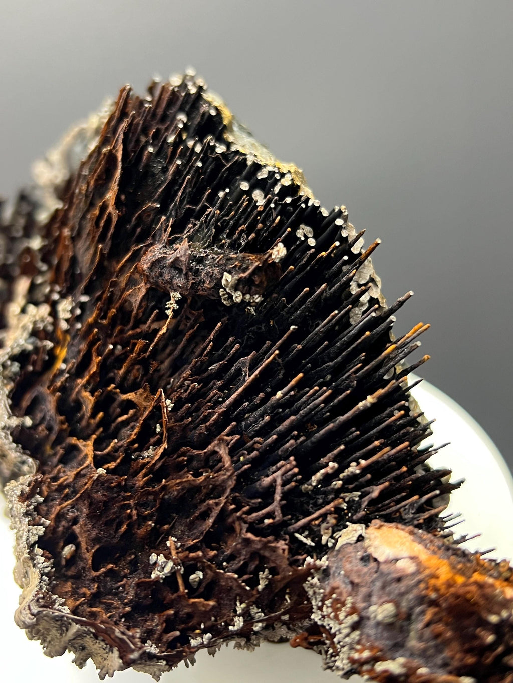 Museum Grade! Very Showy Limonite And Specularite With Stalactite Bridges Goethite Specimen - Crystal Gemstone AE 