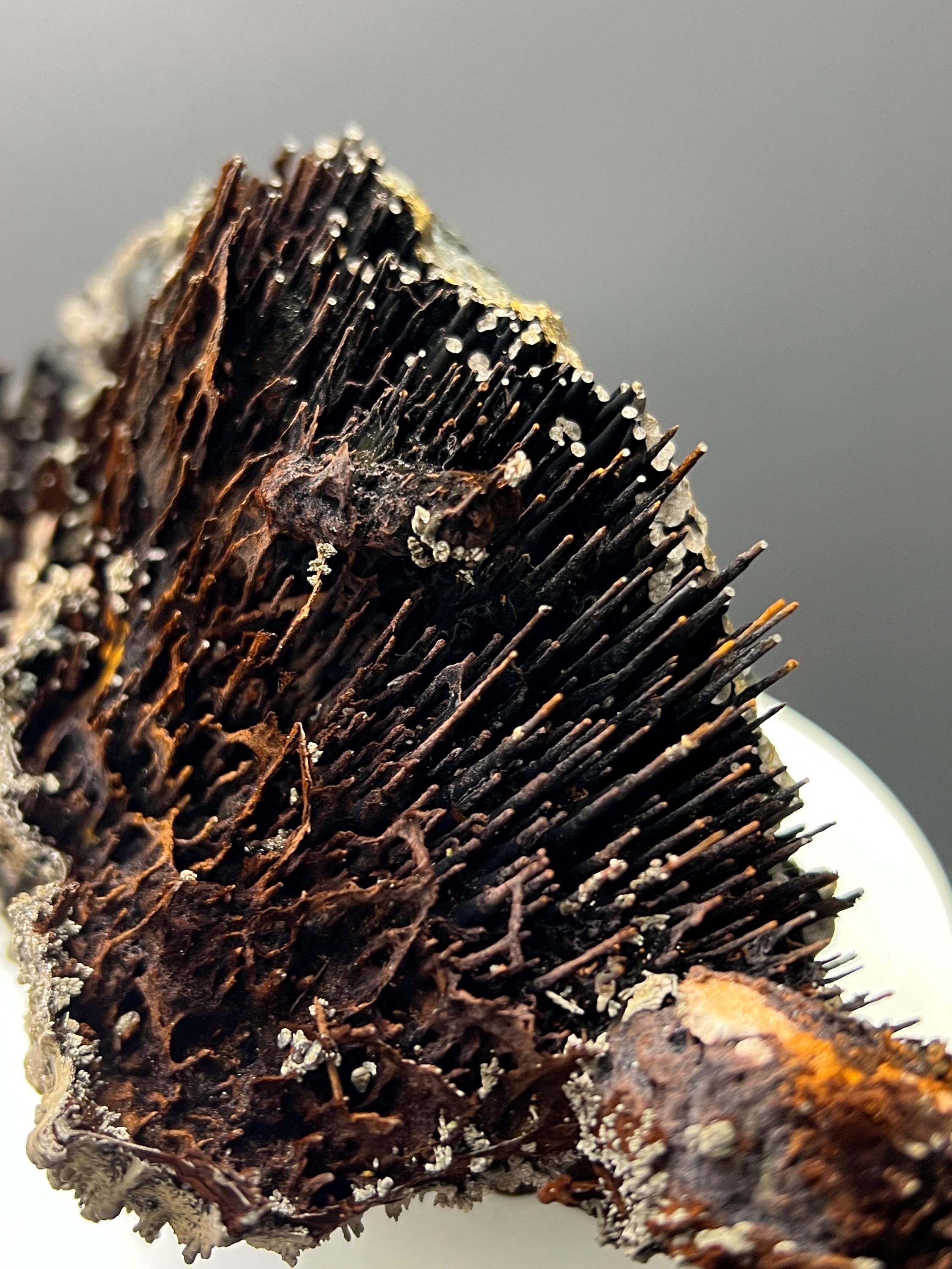 Museum Grade! Very Showy Limonite And Specularite With Stalactite Bridges Goethite Specimen - Crystal Gemstone AE 